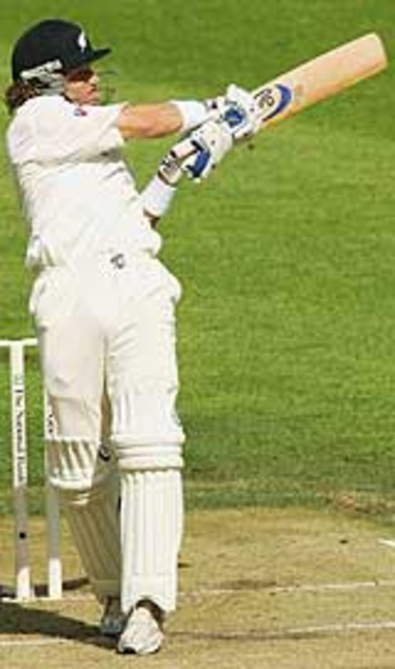 Hamish Marshall blasts a pull, New Zealand v Australia, 3rd Test, Auckland, 1st day
