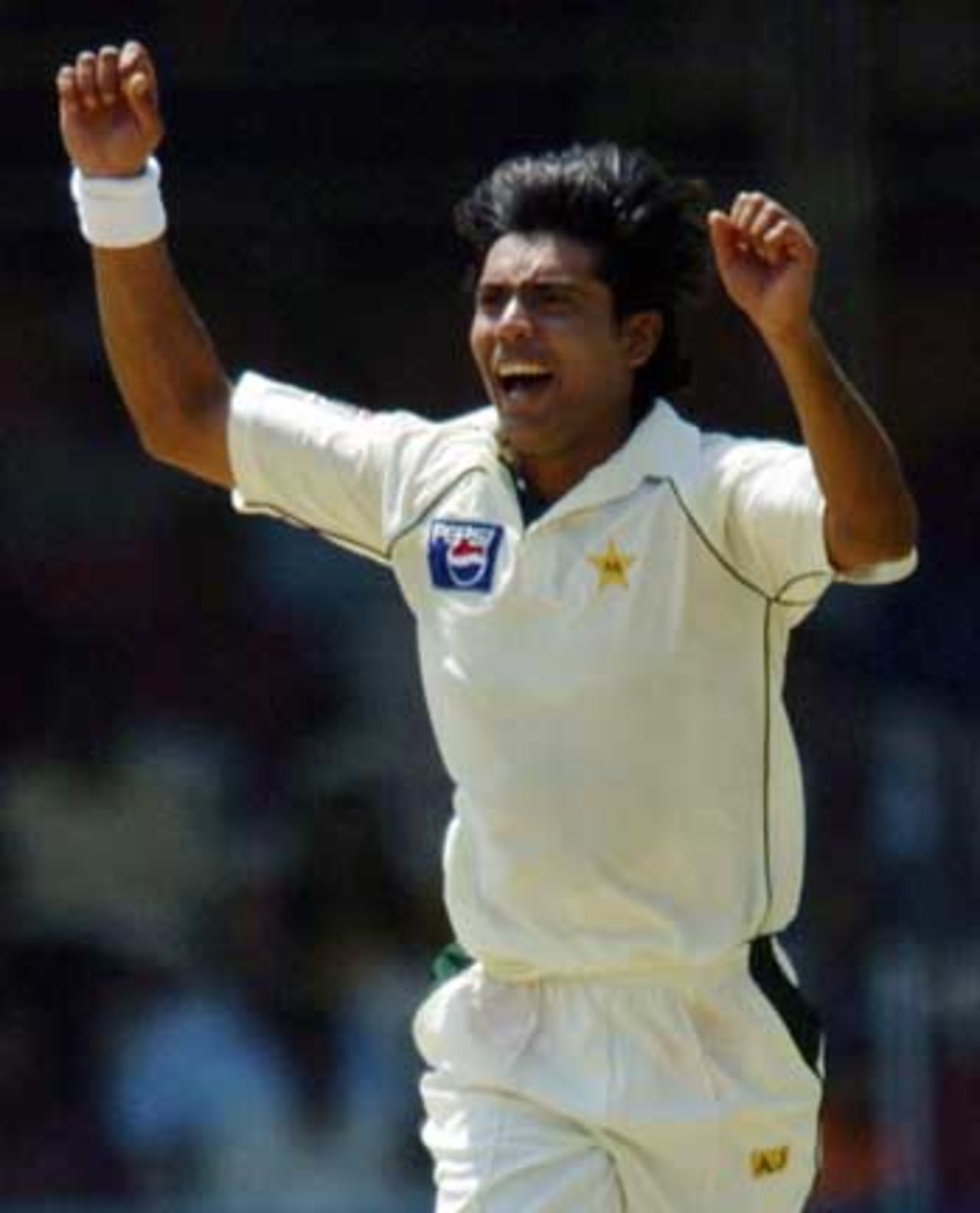 Mohammad Sami turned the heat on with a good spell of bowling, India v Pakistan, 3rd Test, Bangalore, 3rd day, March 24, 2005