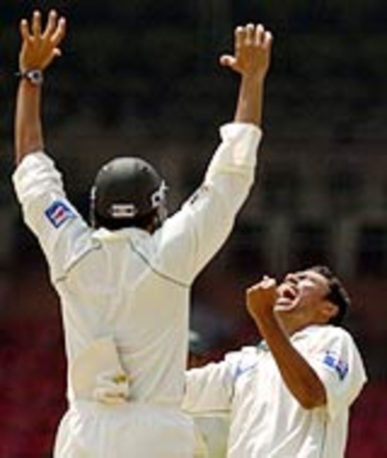 Danish Kaneria celebrates, India v Pakistan, 3rd Test, Bangalore, 4th day, March 27, 2005