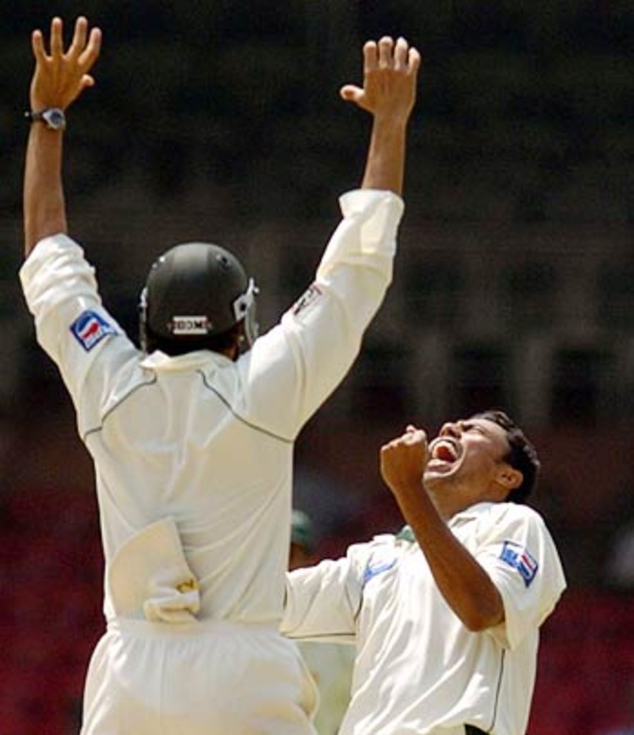 Danish Kaneria was ecstatic after picking up his second five-wicket haul of the series, India v Pakistan, 3rd Test, Bangalore, 4th day, March 27, 2005