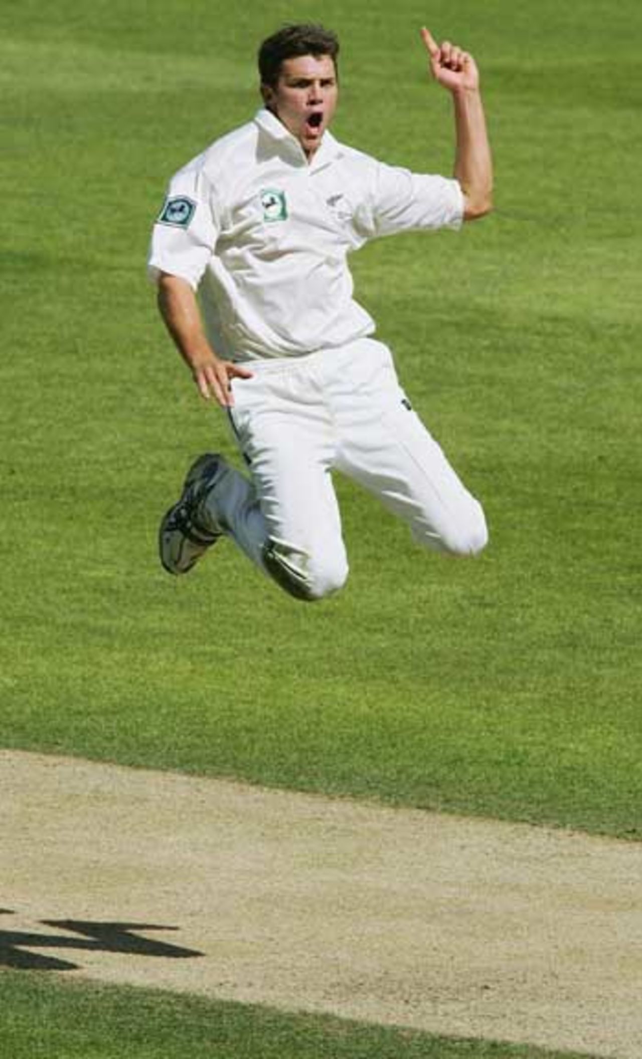 James Franklin soars after picking up yet another Australian wicket, New Zealand v Australia, 3rd Test, Auckland, 3rd day