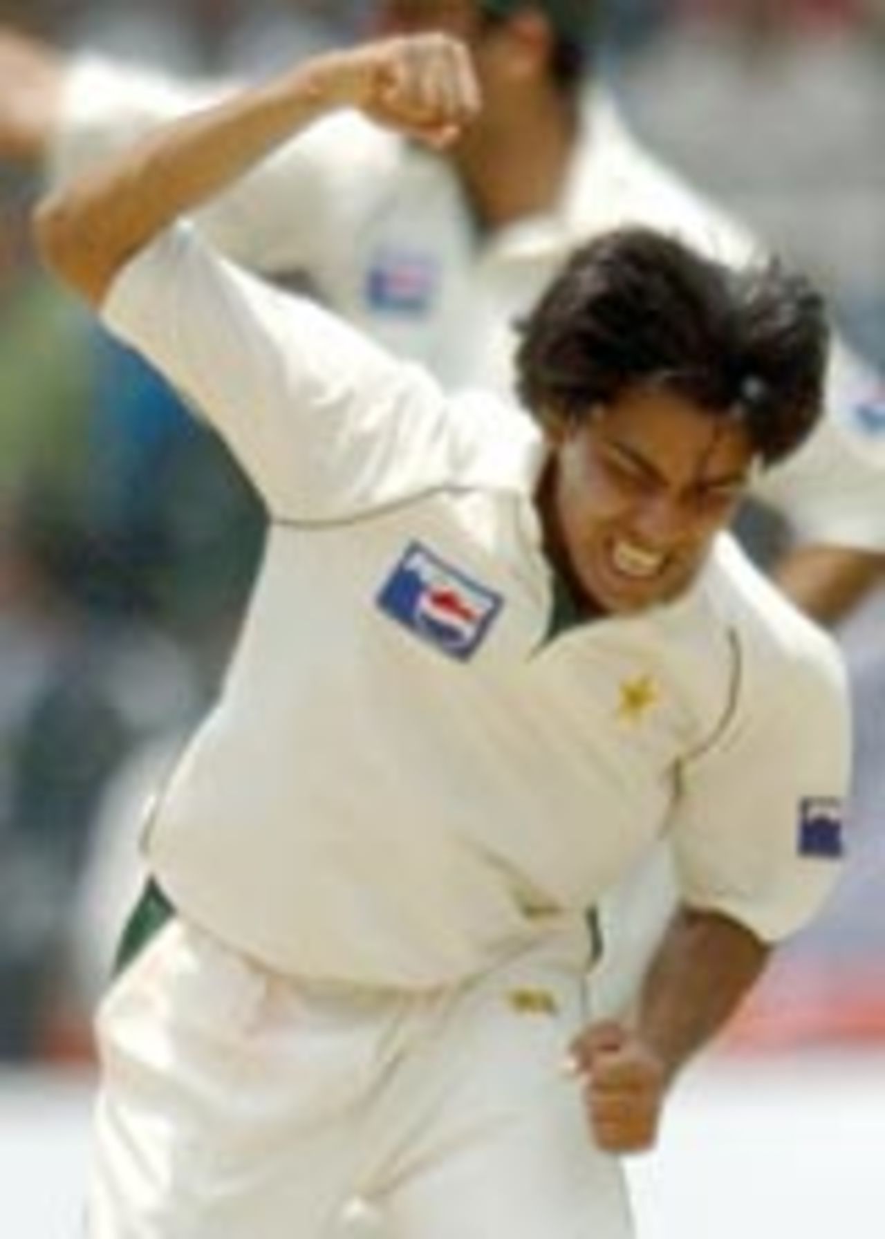 Mohammad Sami is thrilled after nailing Gautam Gambhir, India v Pakistan, 3rd Test, Bangalore, 5th day, March 28, 2005
