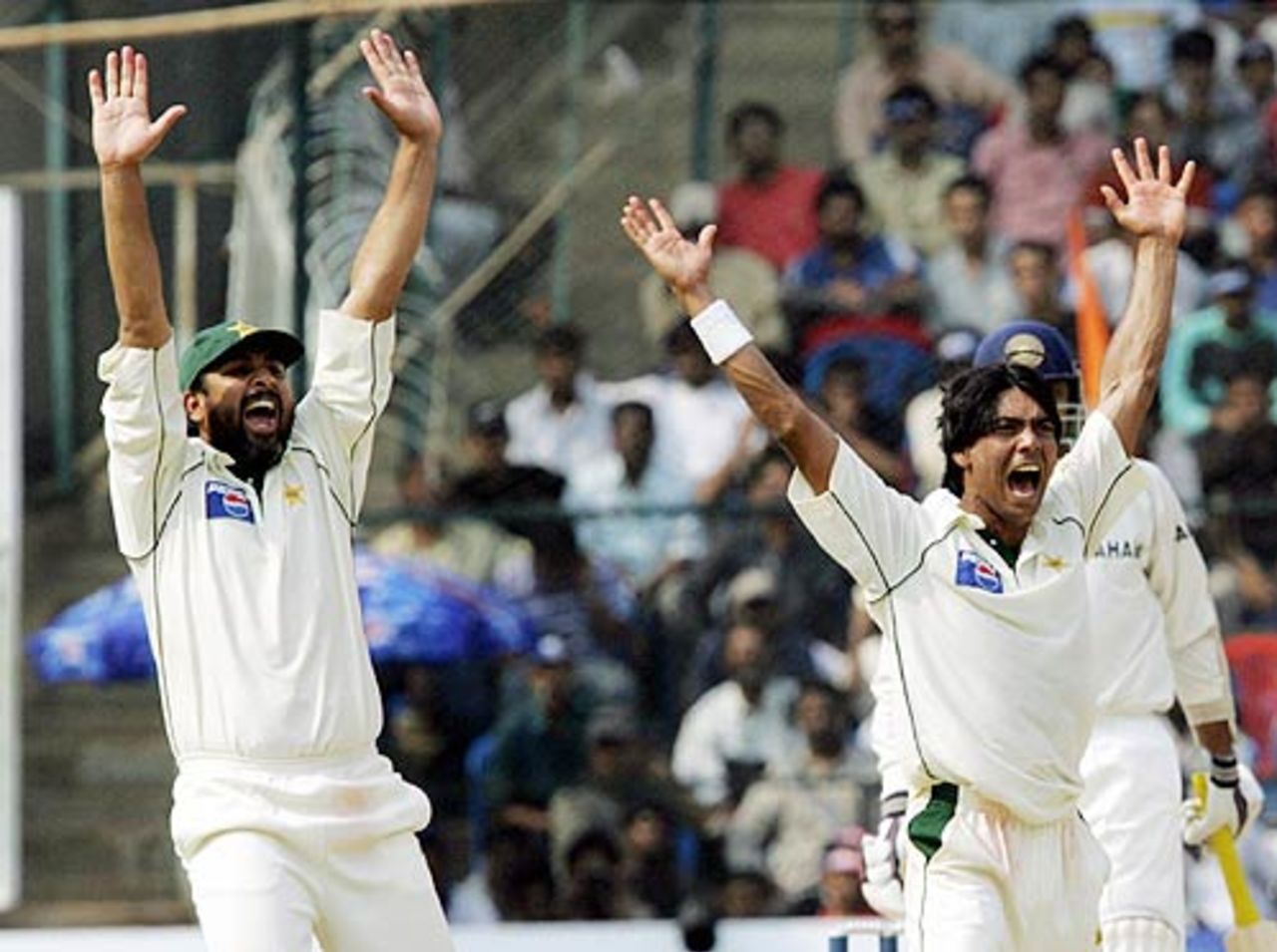 Mohammad Sami and Inzamam-ul-Haq appeal in vain for a leg before decision against VVS Laxman, India v Pakistan, 3rd Test, Bangalore, 5th day, March 28, 2005