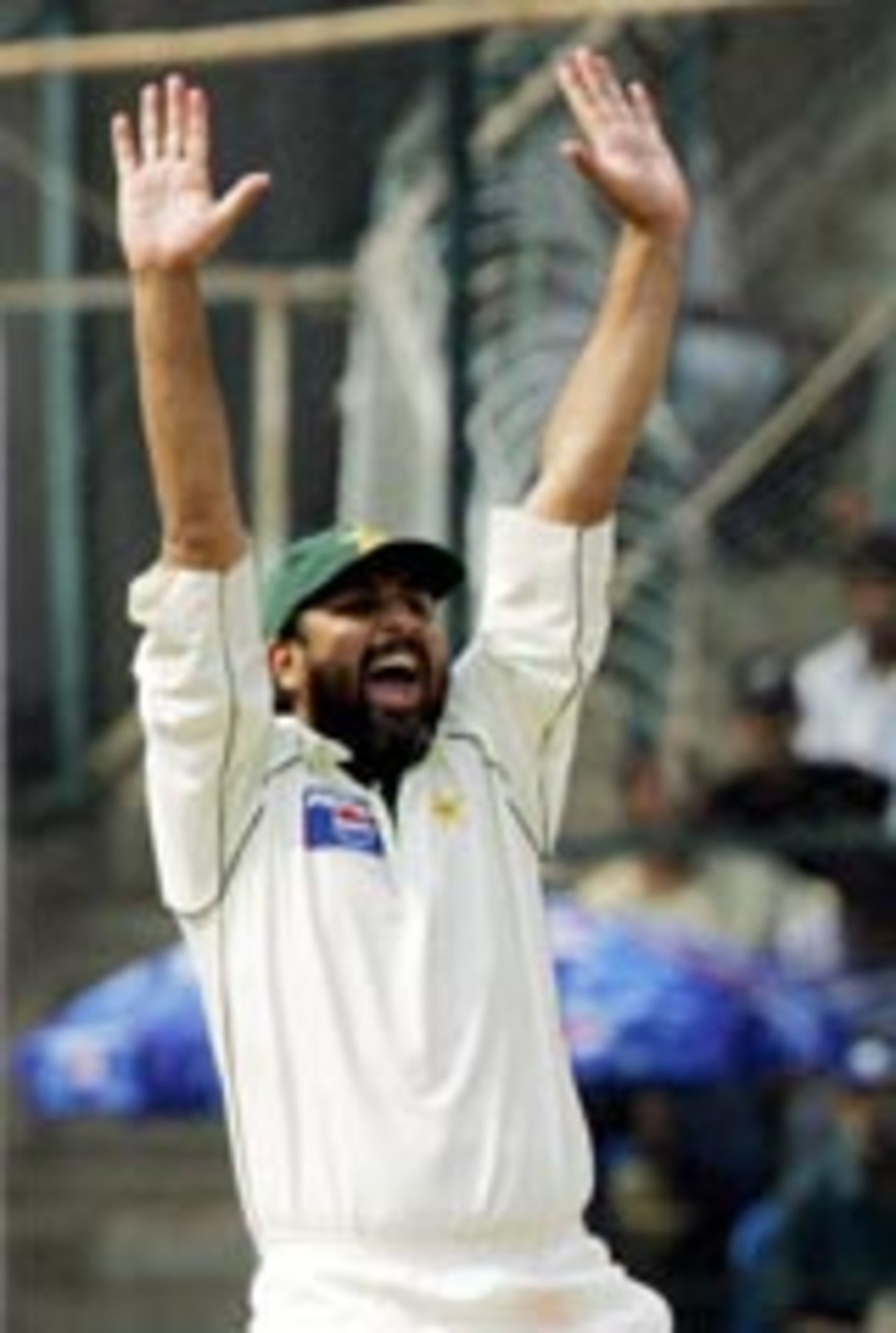 Inzamam-ul-Haq appealing, India v Pakistan, 3rd Test, Bangalore, 5th day, March 28, 2005