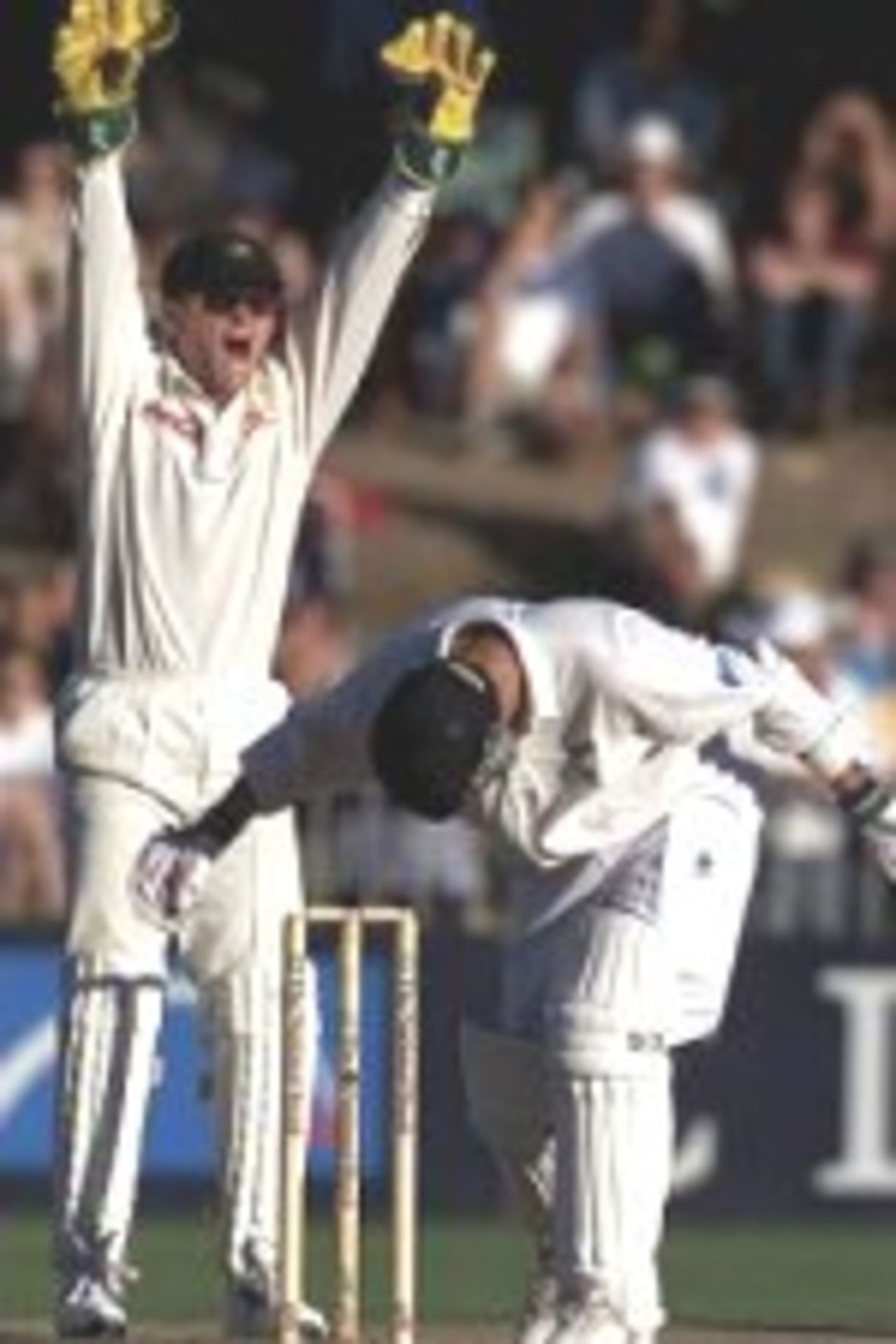 01 Apr 2000: Adam Gilchrist of Australia appeals as Mathew Sinclair of New Zealand is trapped LBW by Colin Miller of Australia for 24, during day two of the third test between New Zealand and Australia, at WestpacTrust Park, Hamilton, New Zealand