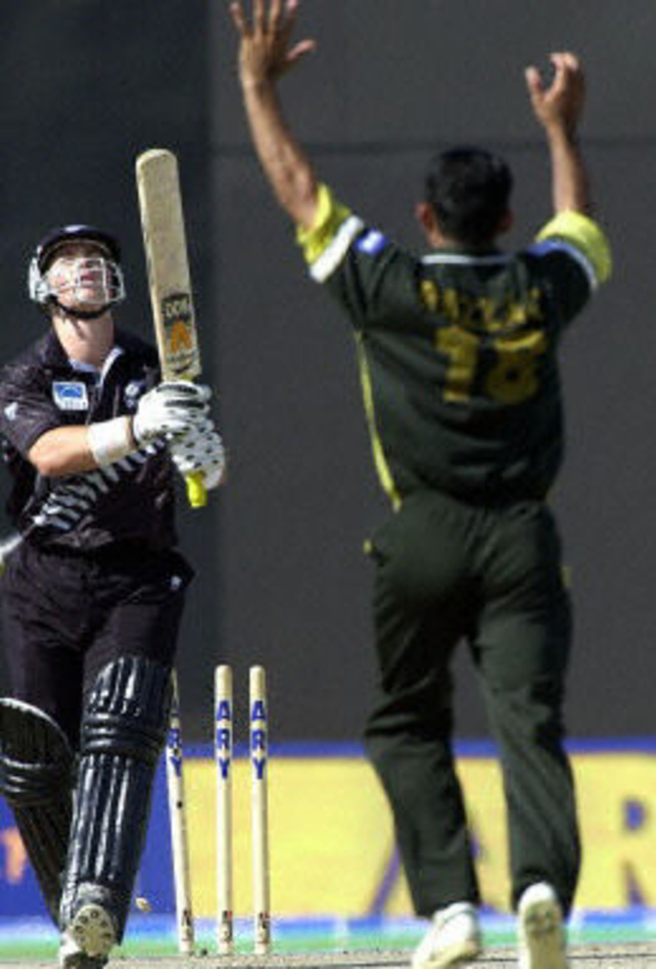 Dejected Matthew Bell leaves his crease as pacer Abdur Razzaq celebrates his second wicket, ODI5 at Sharjah, New Zealand v Pakistan, 15 April 2001