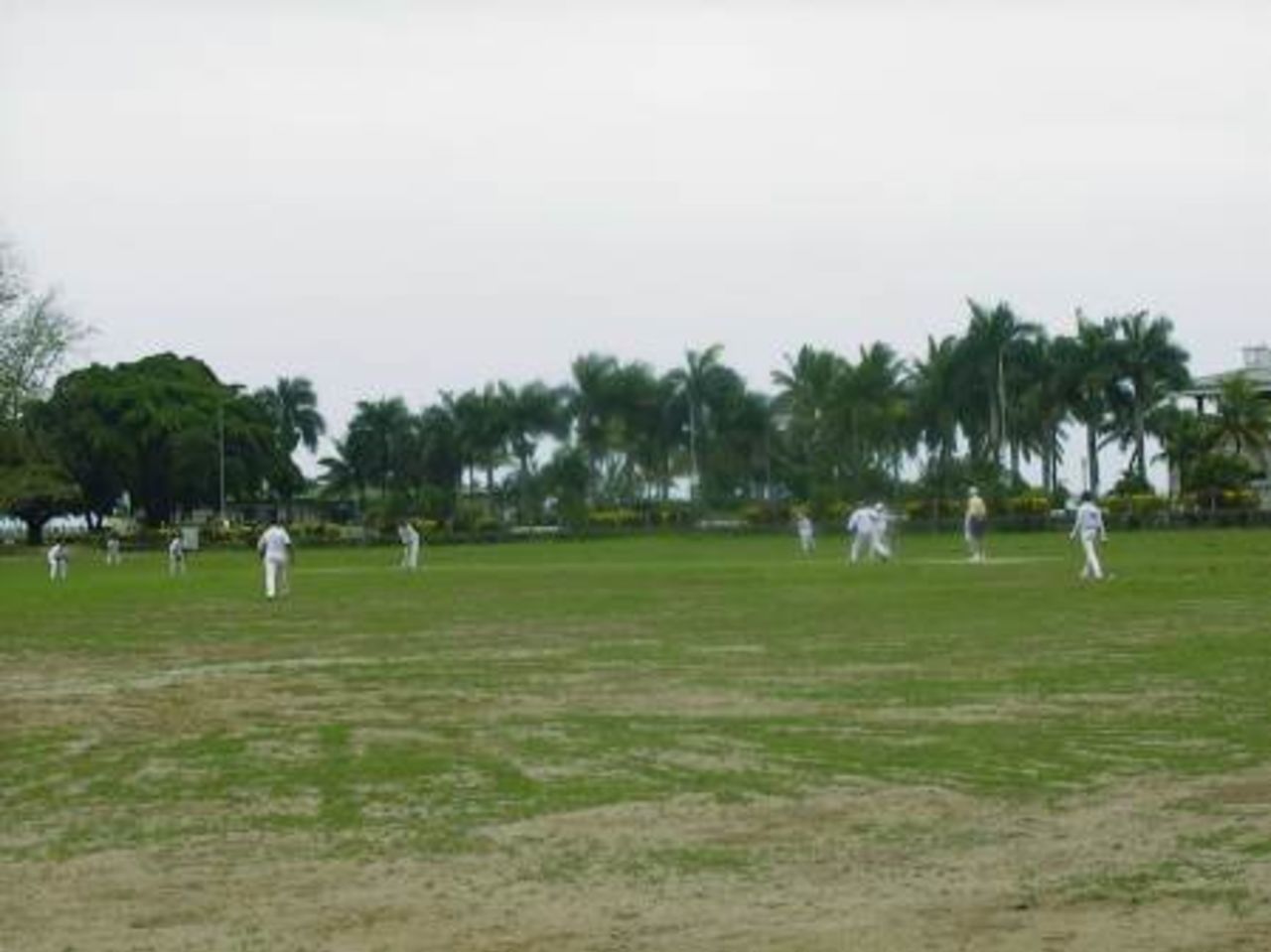 Fiji Cricket