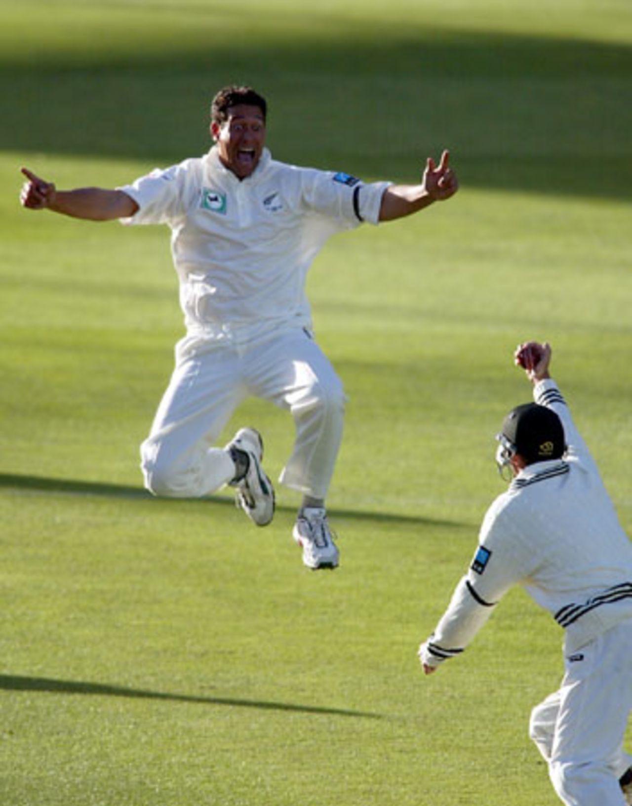 New Zealand bowler Daryl Tuffey (left) and fielder Mark Richardson celebrate the dismissal of England batsman Mark Butcher, caught by Richardson for 0. 3rd Test: New Zealand v England at Eden Park, Auckland, 30 March-3 April 2002 (1 April 2002).