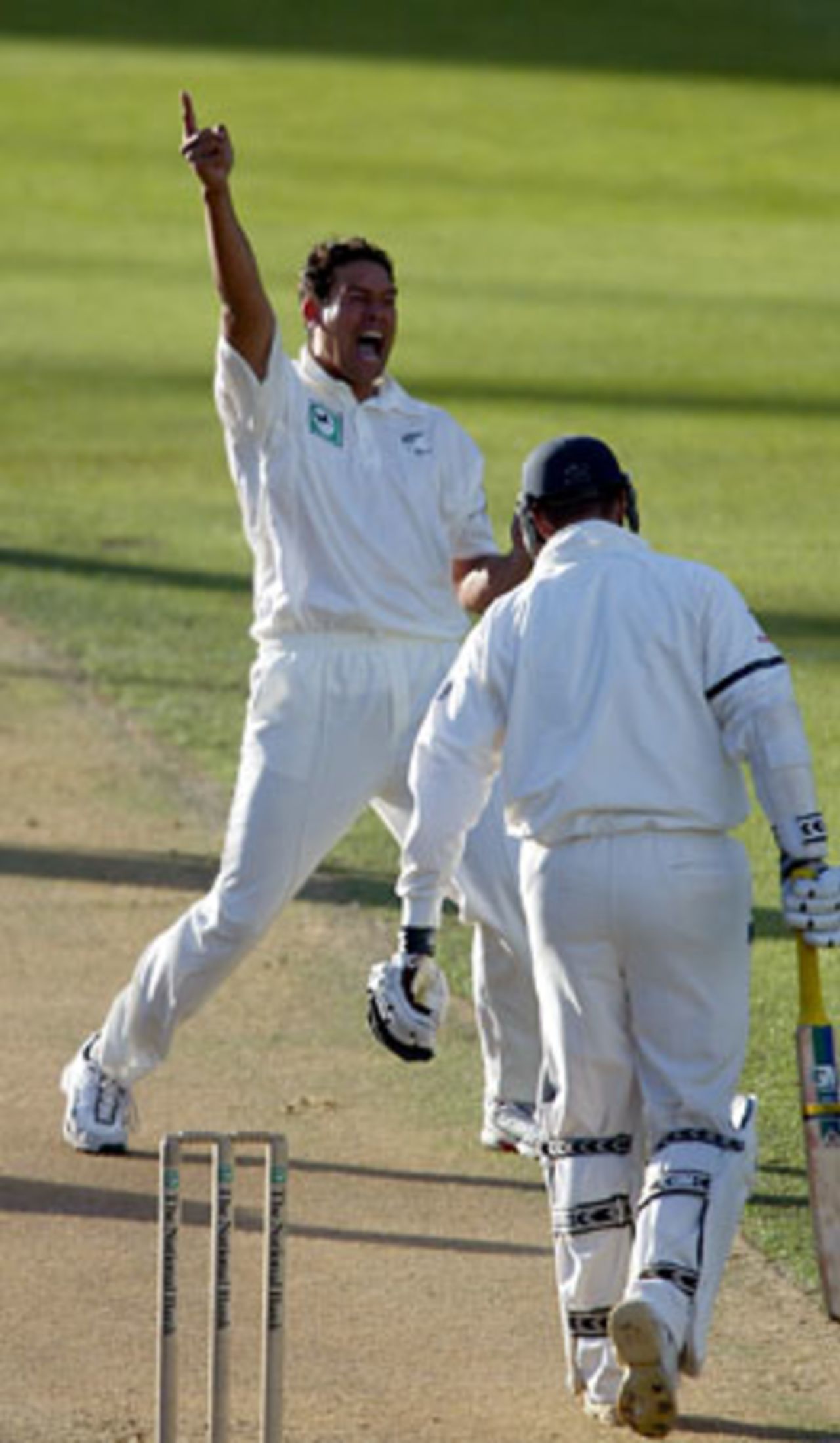 New Zealand bowler Daryl Tuffey celebrates the dismissal of England batsman Marcus Trescothick, lbw for 0. 3rd Test: New Zealand v England at Eden Park, Auckland, 30 March-3 April 2002 (1 April 2002).