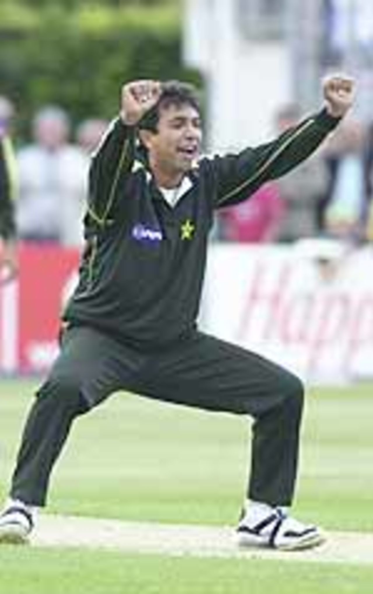 mahmoodpic