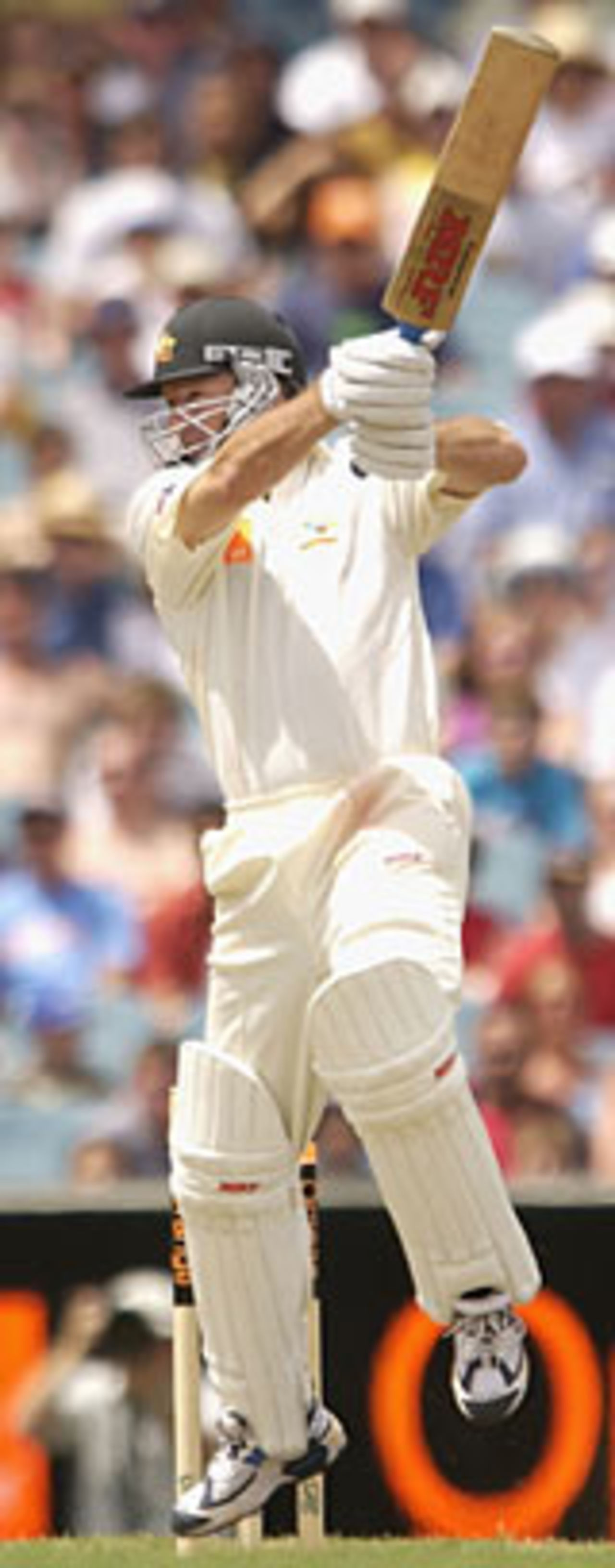 Steve Waugh, Sydney, December 2002