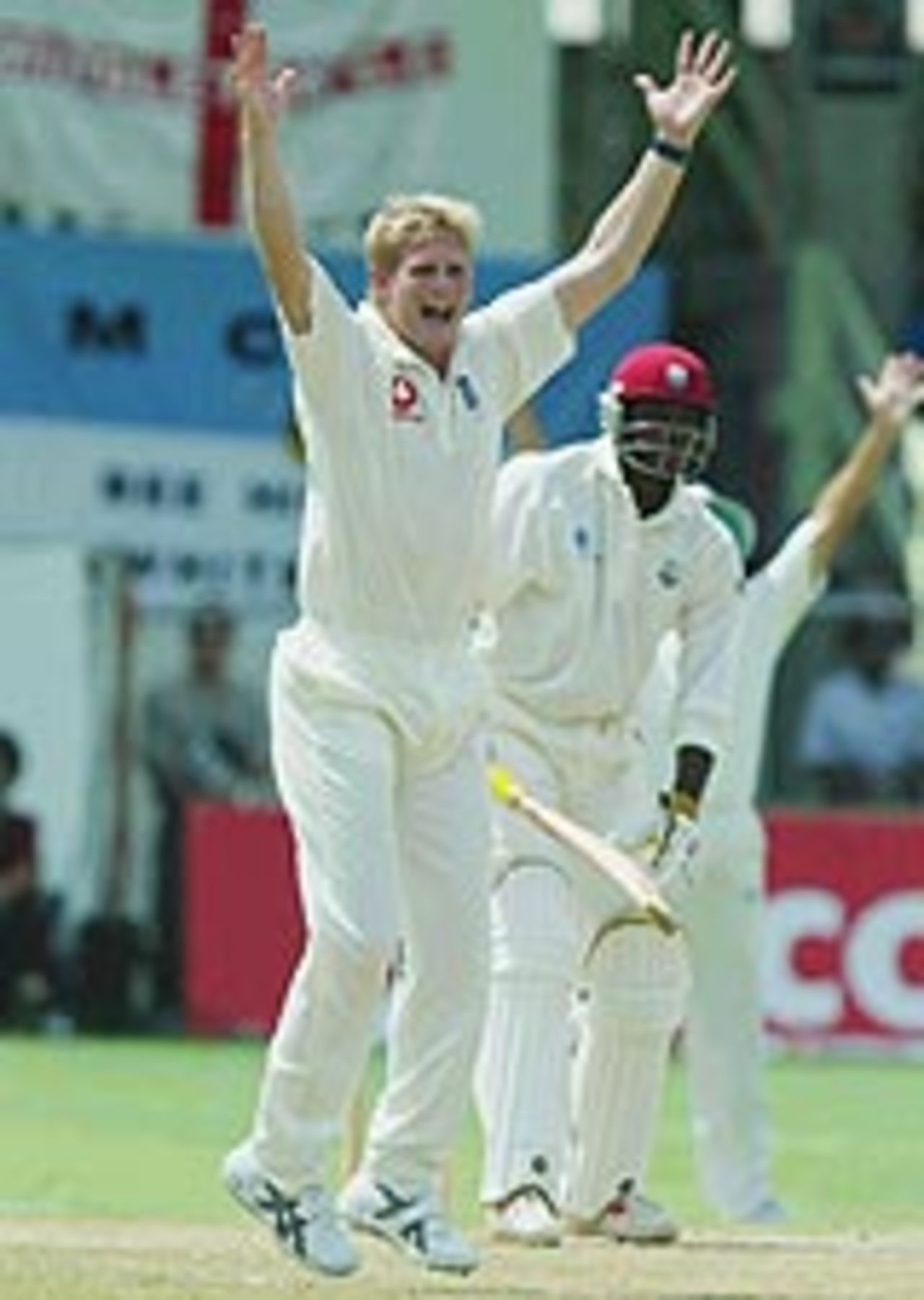 Matthew Hoggard traps Chris Gayle lbw, West Indies v England, 3rd Test, Barbados, 1st day, April 1, 2004