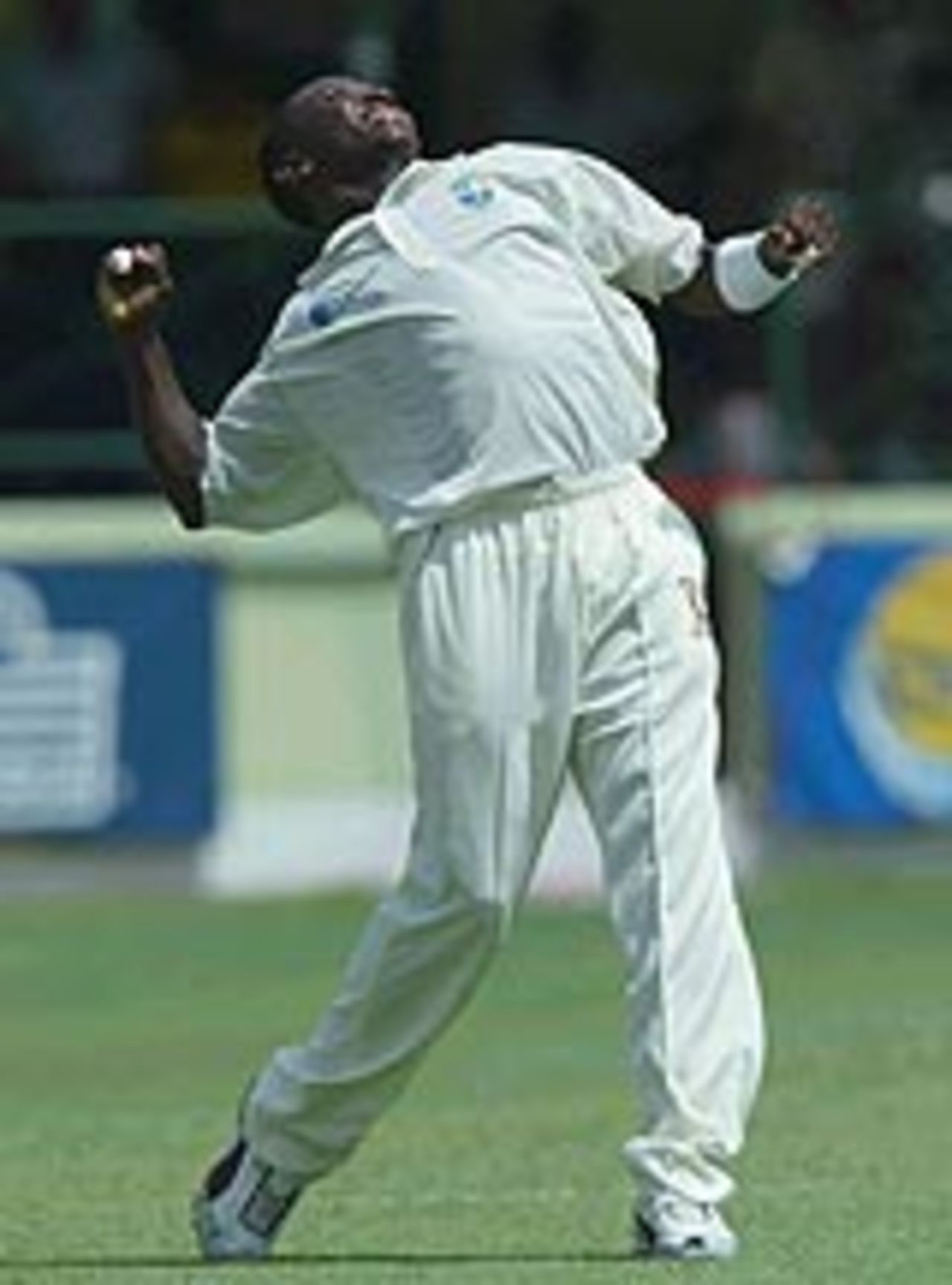 Fidel Edwards celebrates a wicket, West Indies v England, 3rd Test, Barbados, 2nd day, April 2, 2004