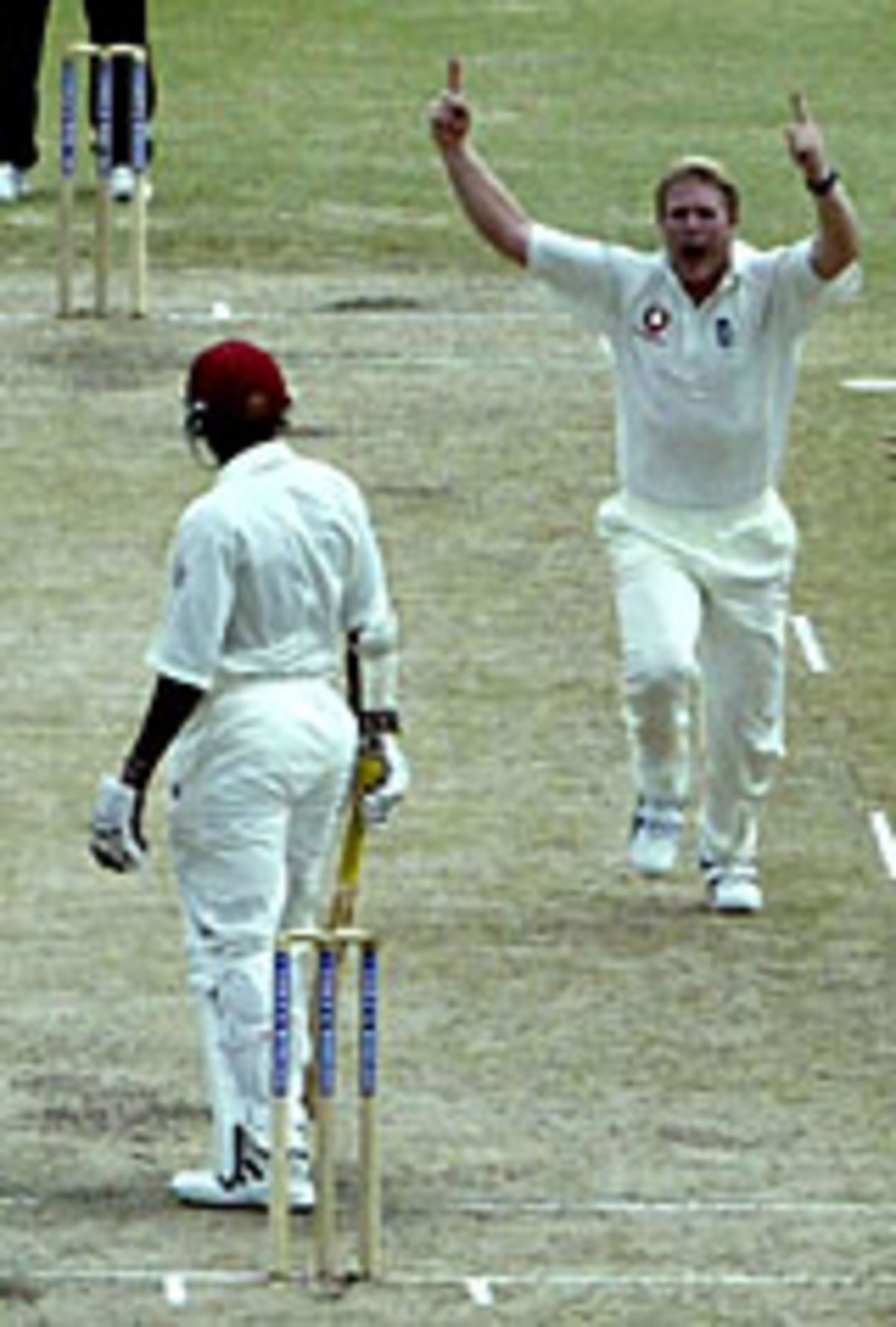 Matthew Hoggard celebrates his hat-trick, West Indies v England, 3rd Test, Barbados, April 3, 2004