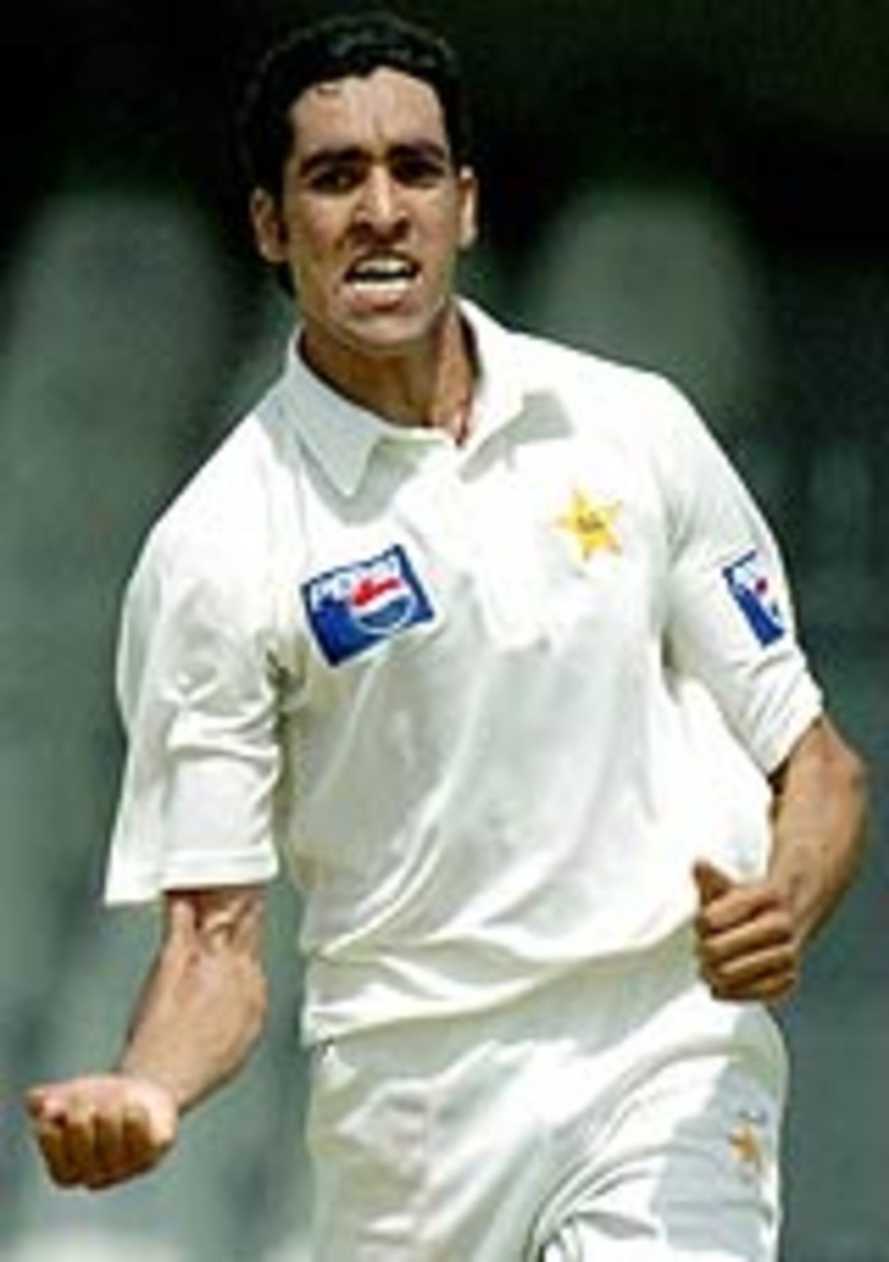 Umar Gul celebrates after dismissing VVS Laxman, Pakistan v India, 2nd Test, Lahore, 1st day, April 5, 2004