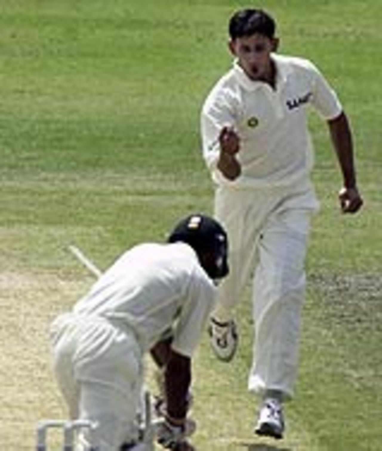 Ajit Agarkar celebrates the wicket of Yasir Hameed, Pakistan v India, 2nd Test, Lahore, 2nd day, April 6, 2004