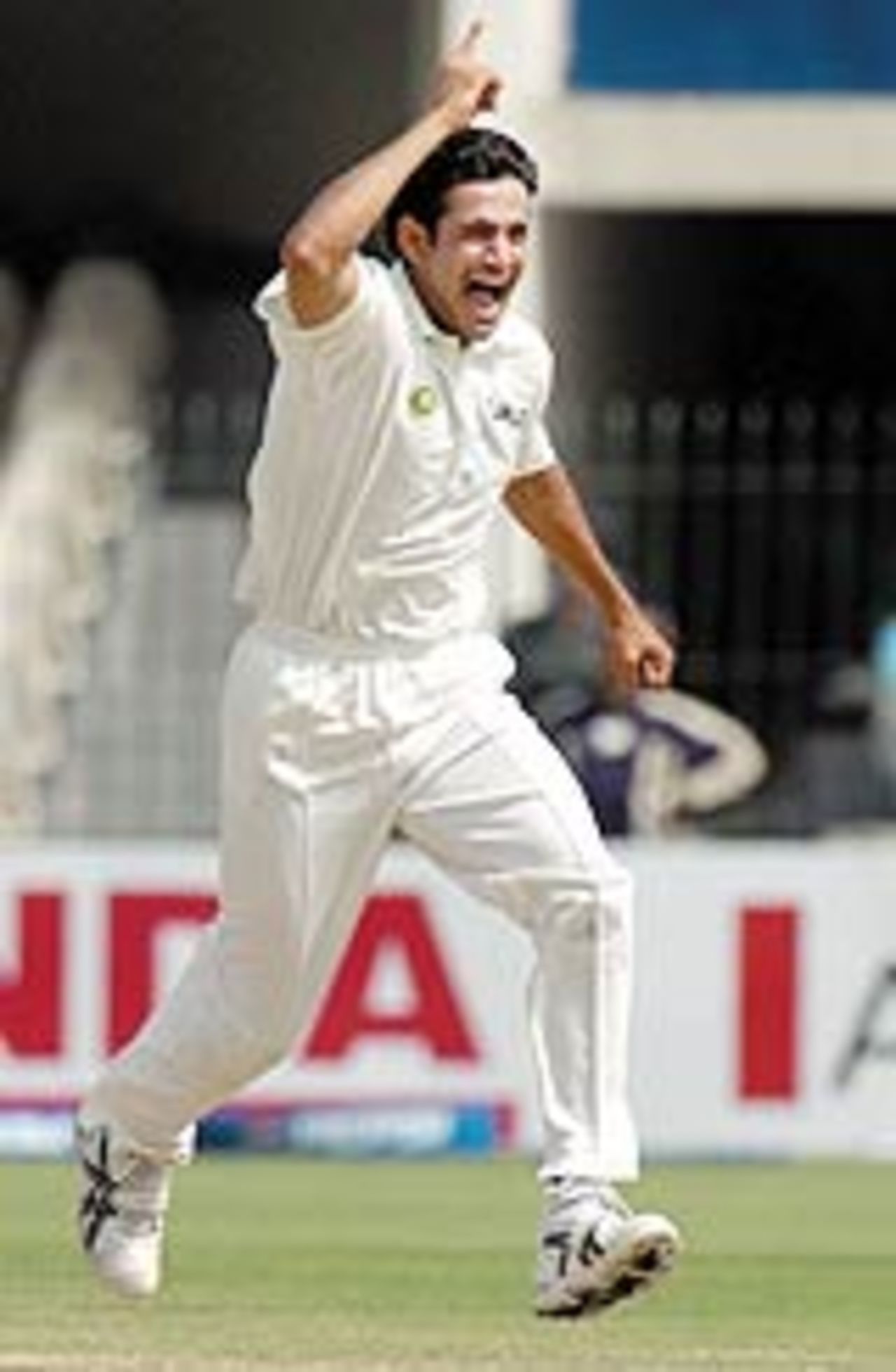 Irfan Pathan is ecstatic after dismissing Inzamam-ul Haq, Pakistan v India, 2nd Test, Lahore, 3rd day, April 7, 2004