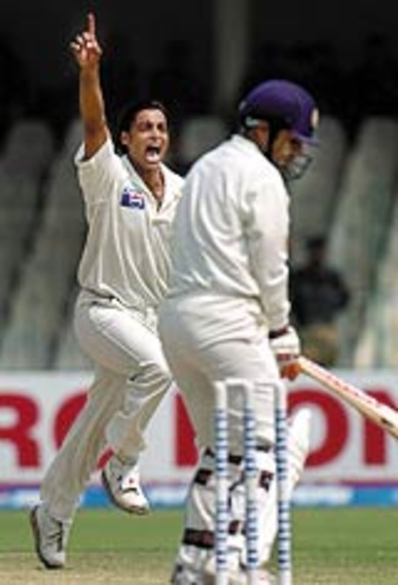 Shoaib Akhtar celebrates after dismissing Virender Sehwag, Pakistan v India, 2nd Test, Lahore, 4th day, April 8, 2004