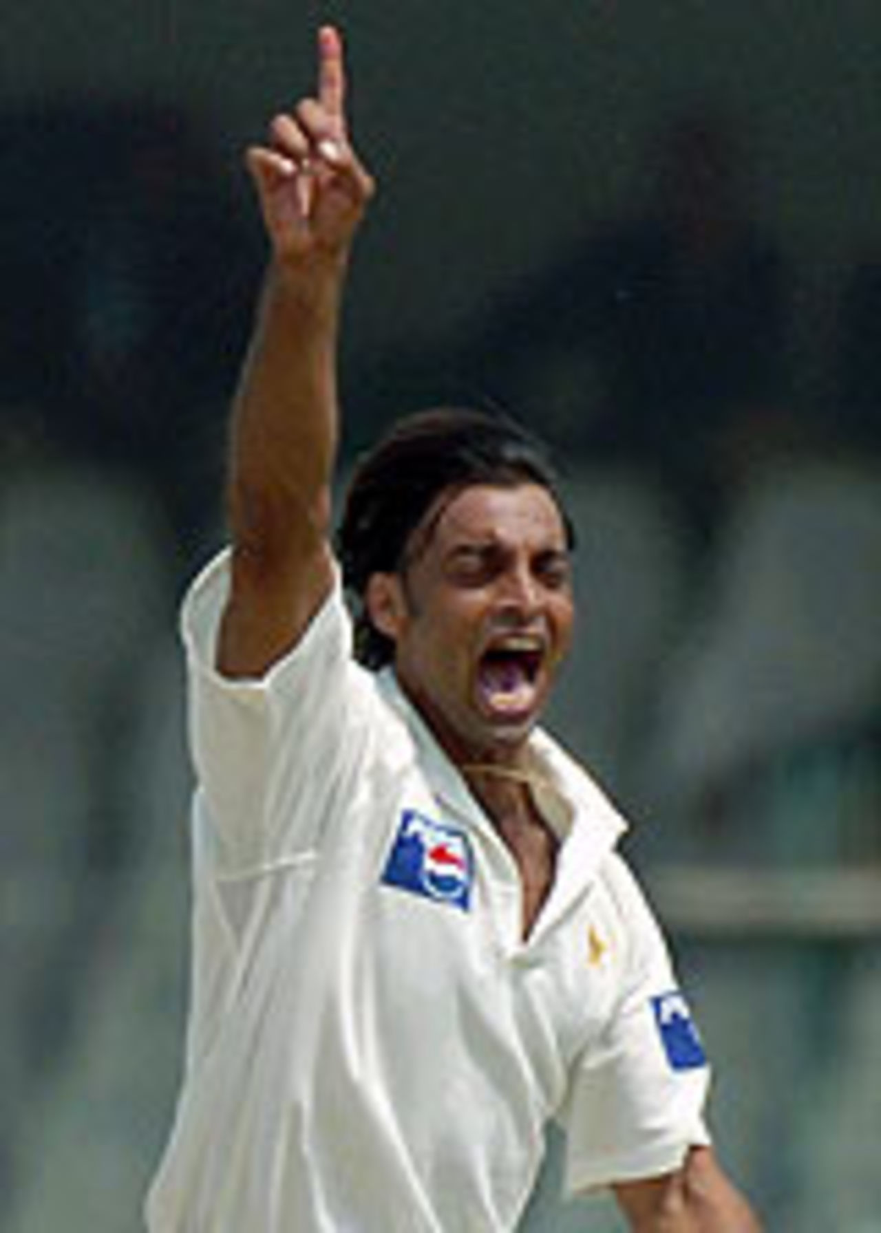 Shoaib Akhtar is delighted at dismissing Virender Sehwag, Pakistan v India, 2nd Test, Lahore, 4th day, April 8, 2004