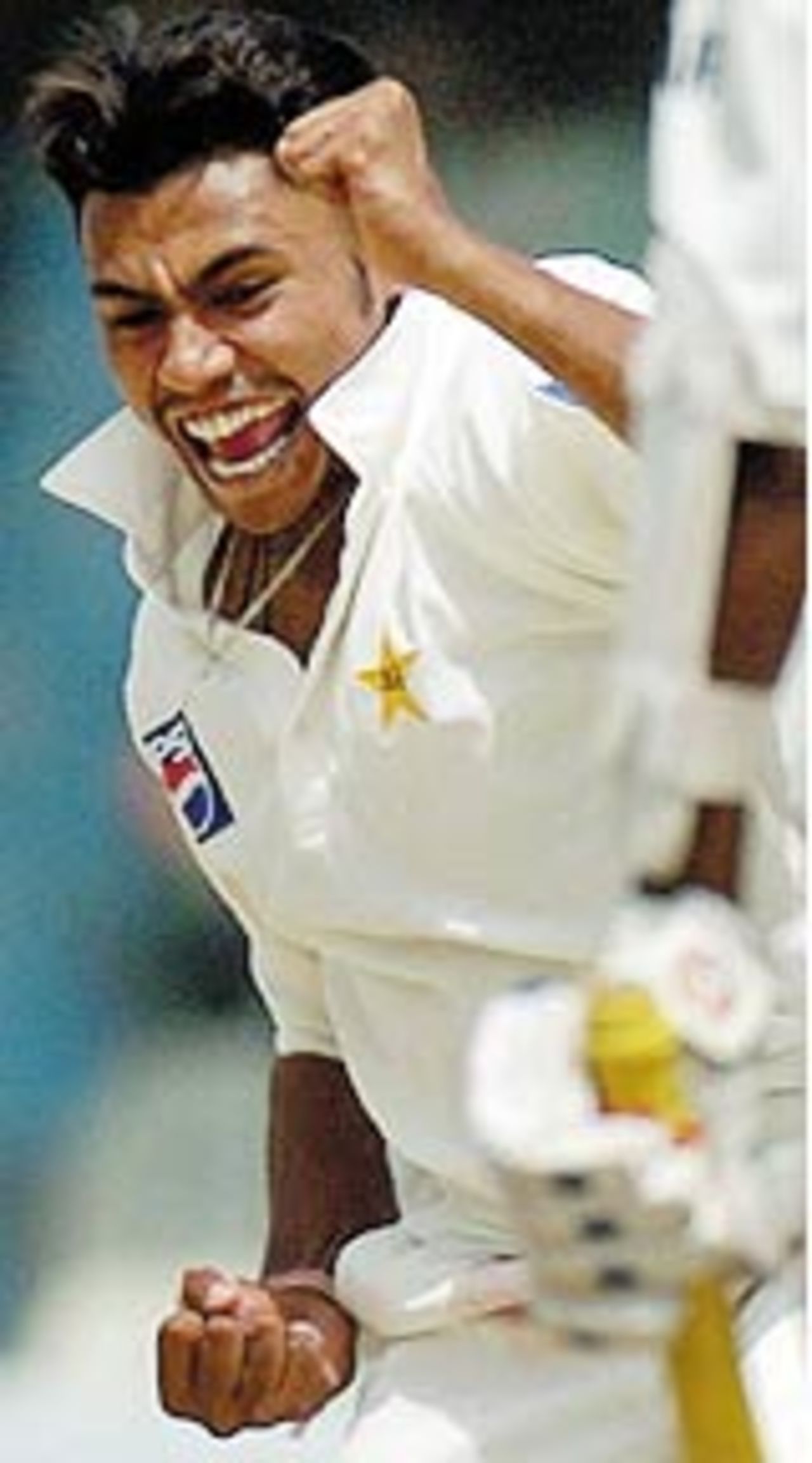 Danish Kaneria celebrates after dismissing Lakshmipathy Balaji, Pakistan v India, 2nd Test, Lahore, 4th day, April 8, 2004