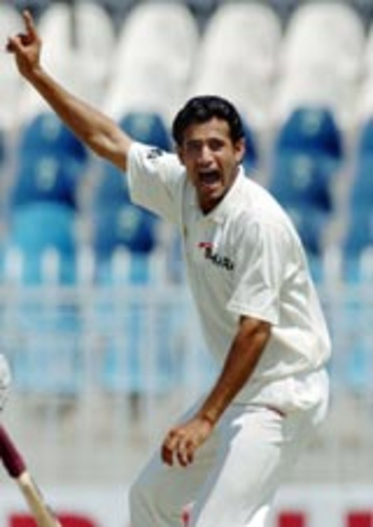 Irfan Pathan appeals unsuccessfully against Yasir Hameed, Pakistan v India, 3rd Test, Rawalpindi, 1st day, April 12, 2004
