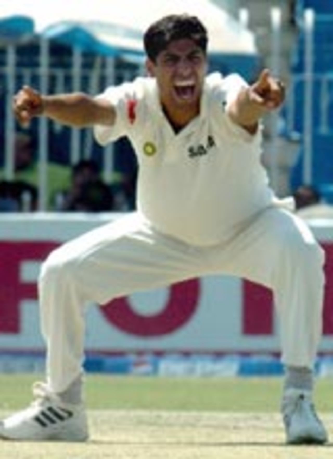 Ashish Nehra belts out a full-throated appeal, Pakistan v India, 3rd Test, Rawalpindi, 1st day, April 12, 2004