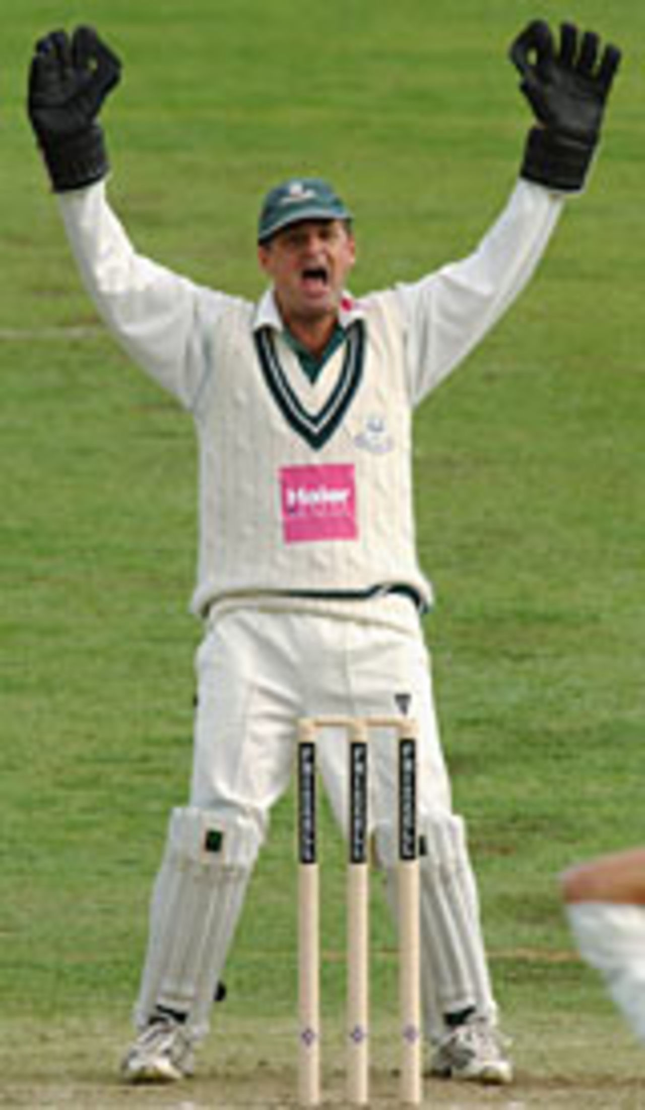 Steve Rhodes