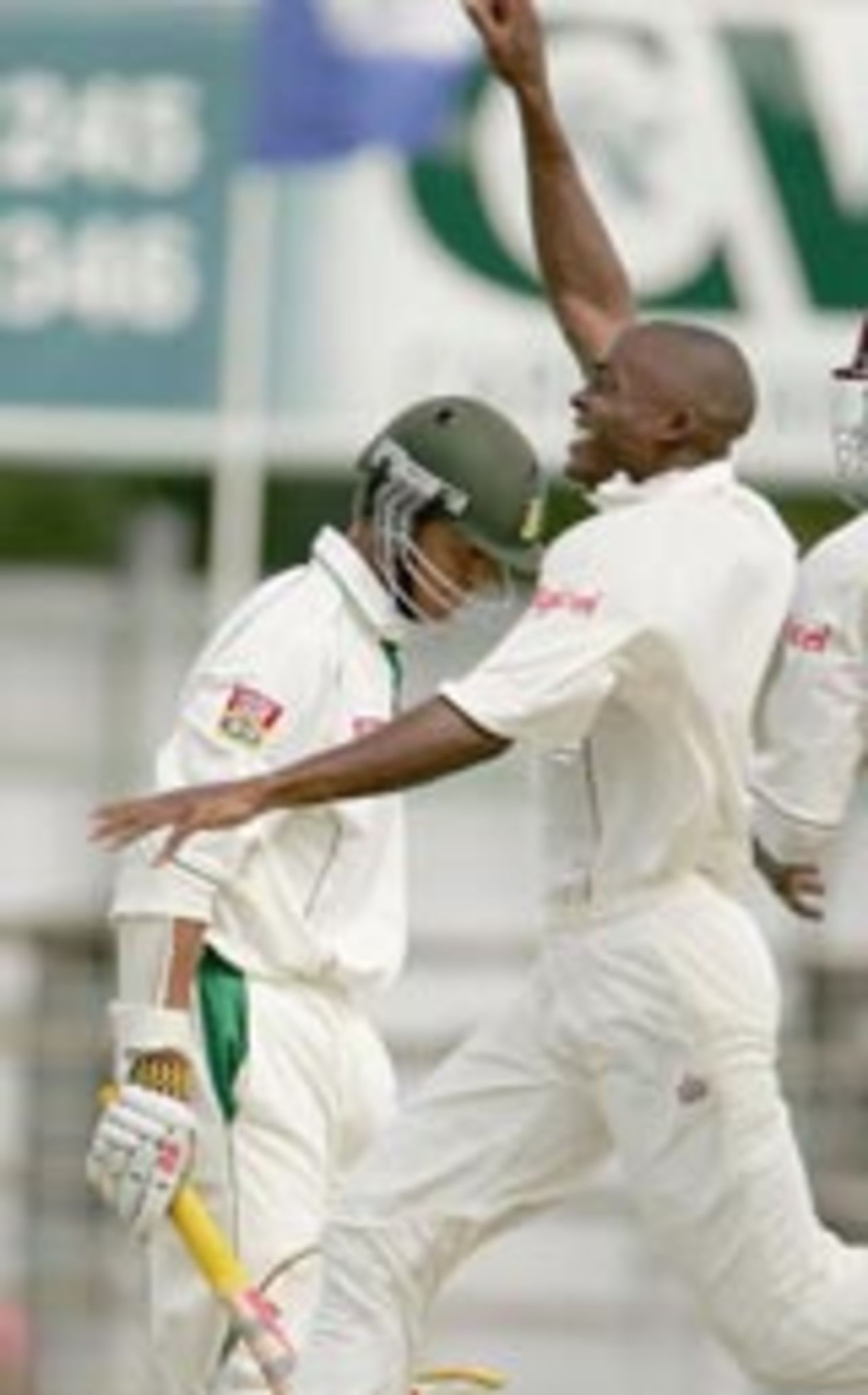 Darren Powell celebrates as Jacques Rudolph walks back, West Indies v South Africa, 1st Test, Guyana, April 2, 2005