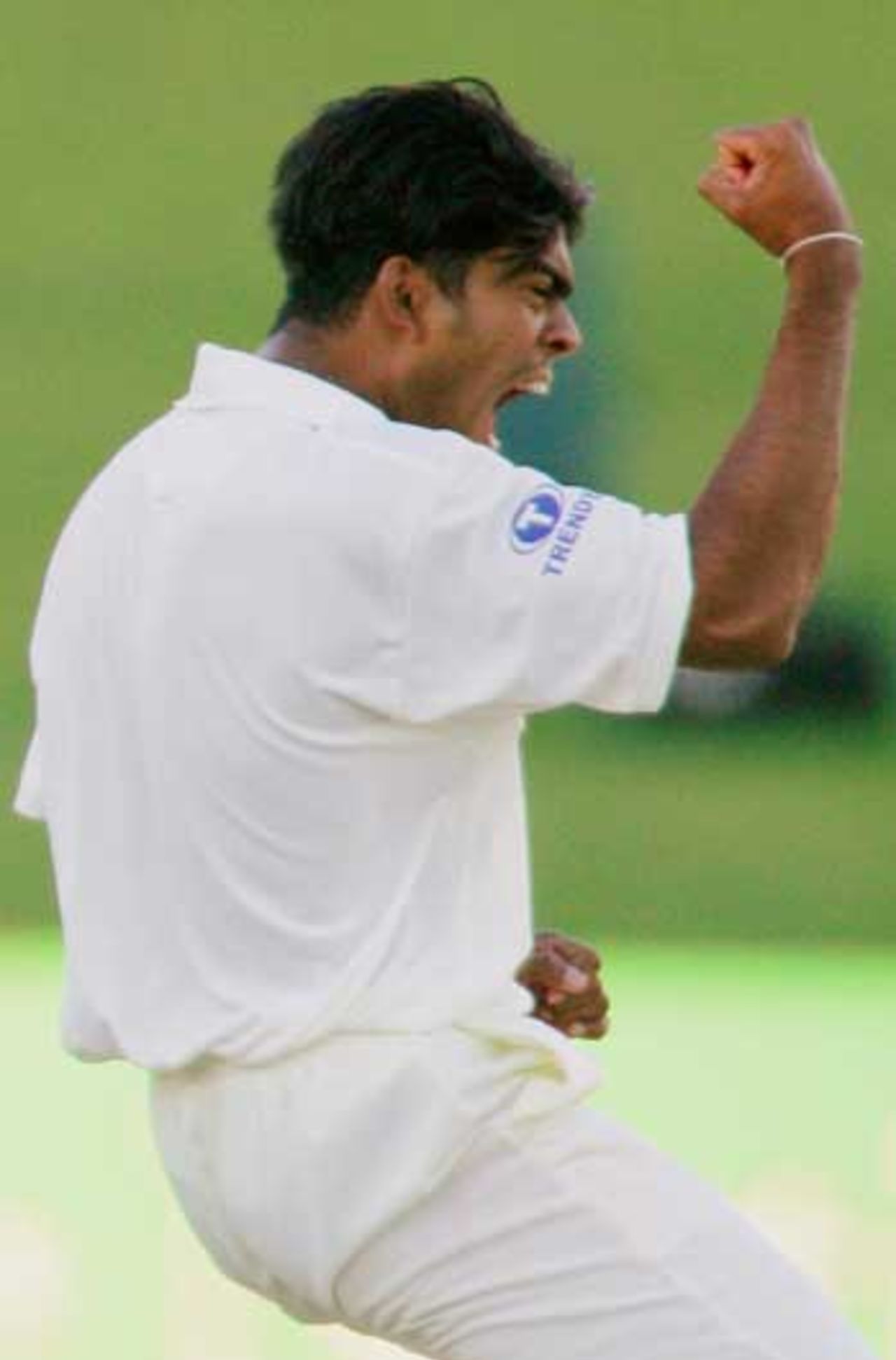 Lasith Malinga celebrates, New Zealand v Sri Lanka, 1st Test, Napier, April 7, 2005