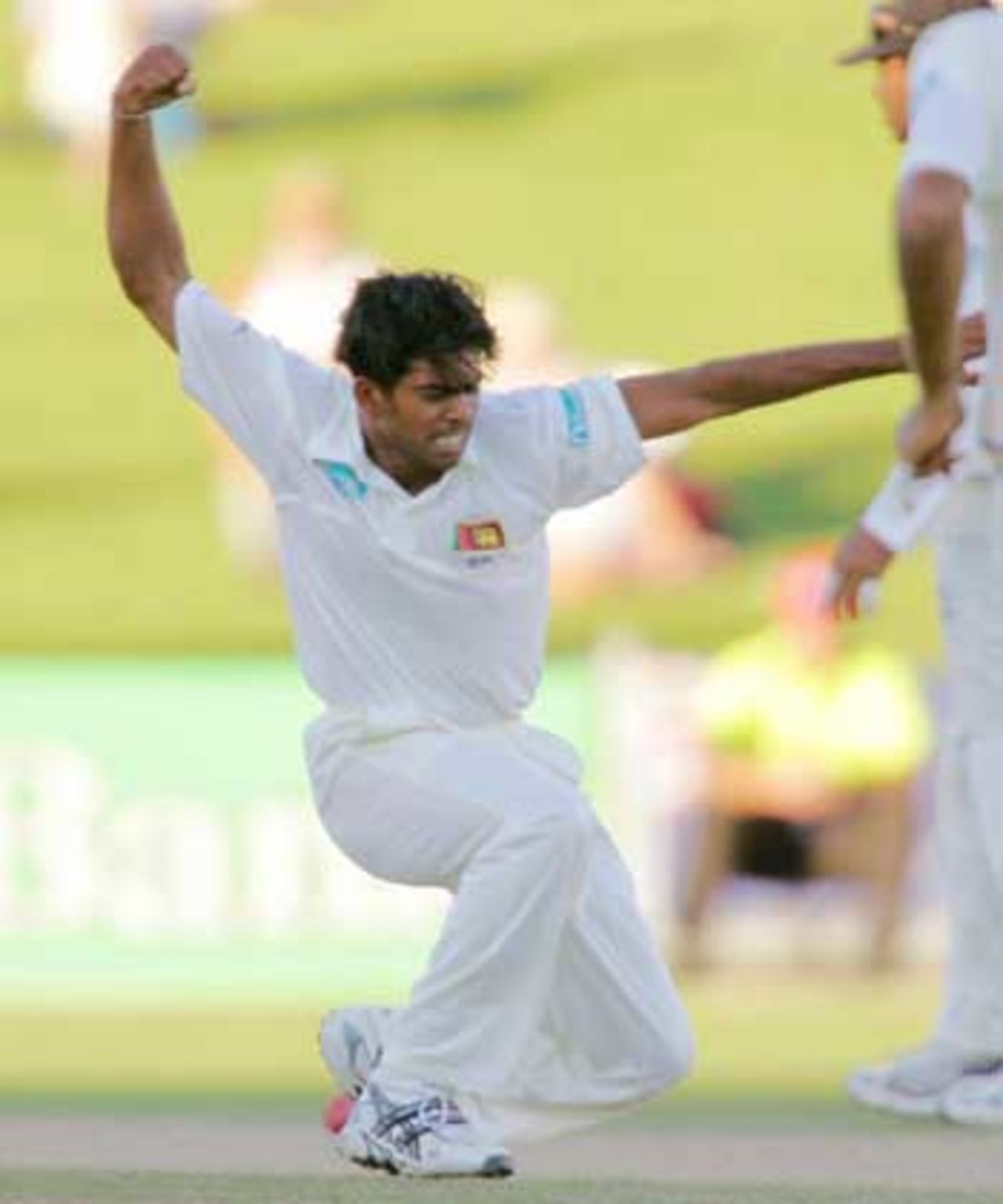 Lasith Malinga celebrates picking up a wicket late in the day, New Zealand v Sri Lanka, 1st Test, Napier, April 7, 2005