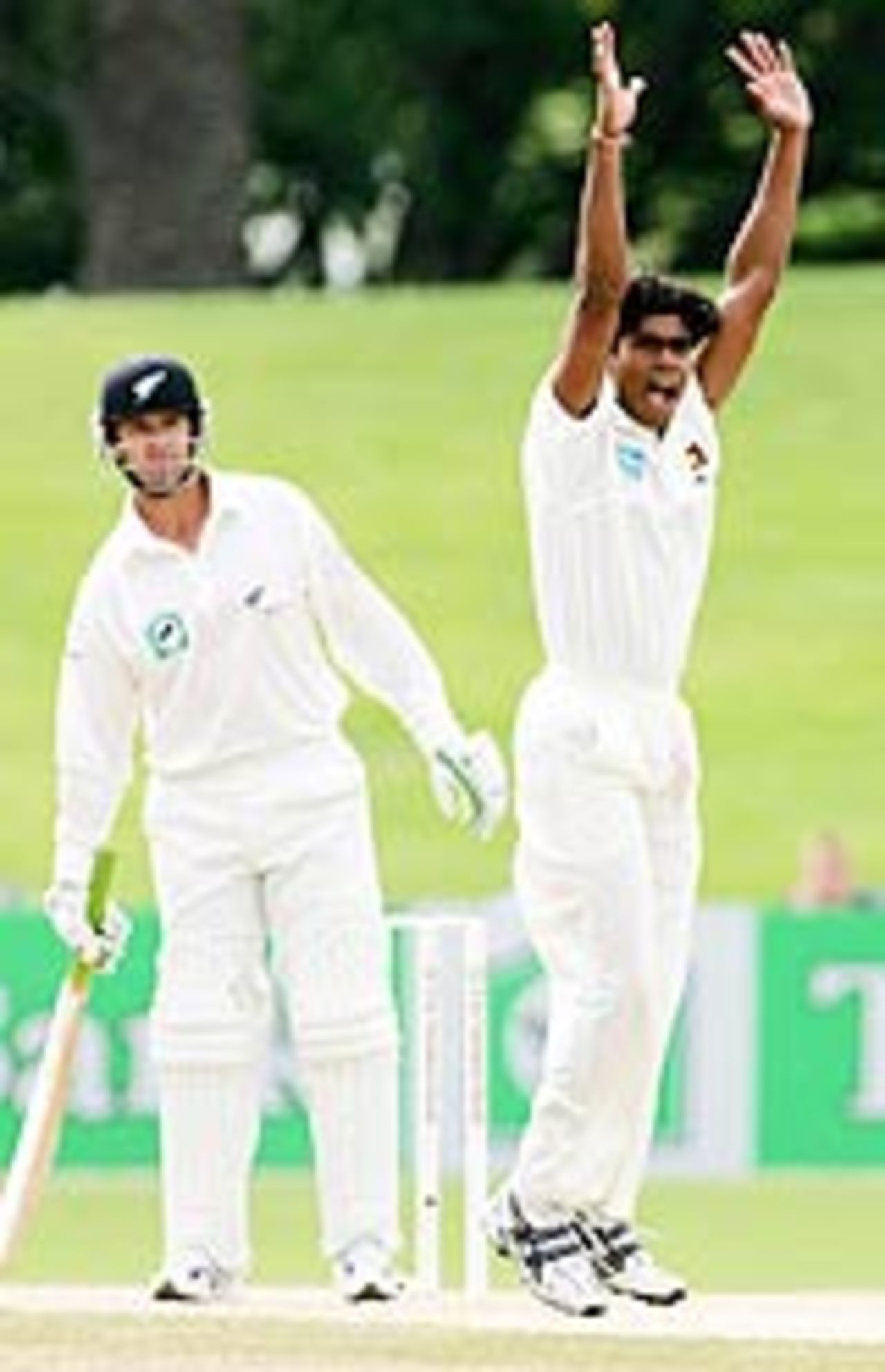 Lasith Malinga appeals for an lbw against Nathan Astle, New Zealand v Sri Lanka, 1st Test, Napier, April 7, 2005