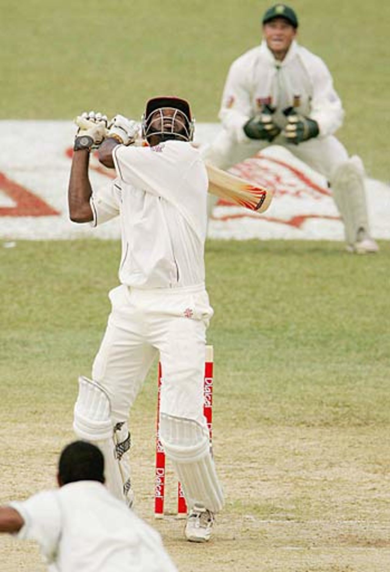 Chris Gayle skies a bouncer from Makhaya Ntini and is caught by Mark Boucher for 6, West Indies v South Africa, Trinidad, 2nd Test, April 8, 2005