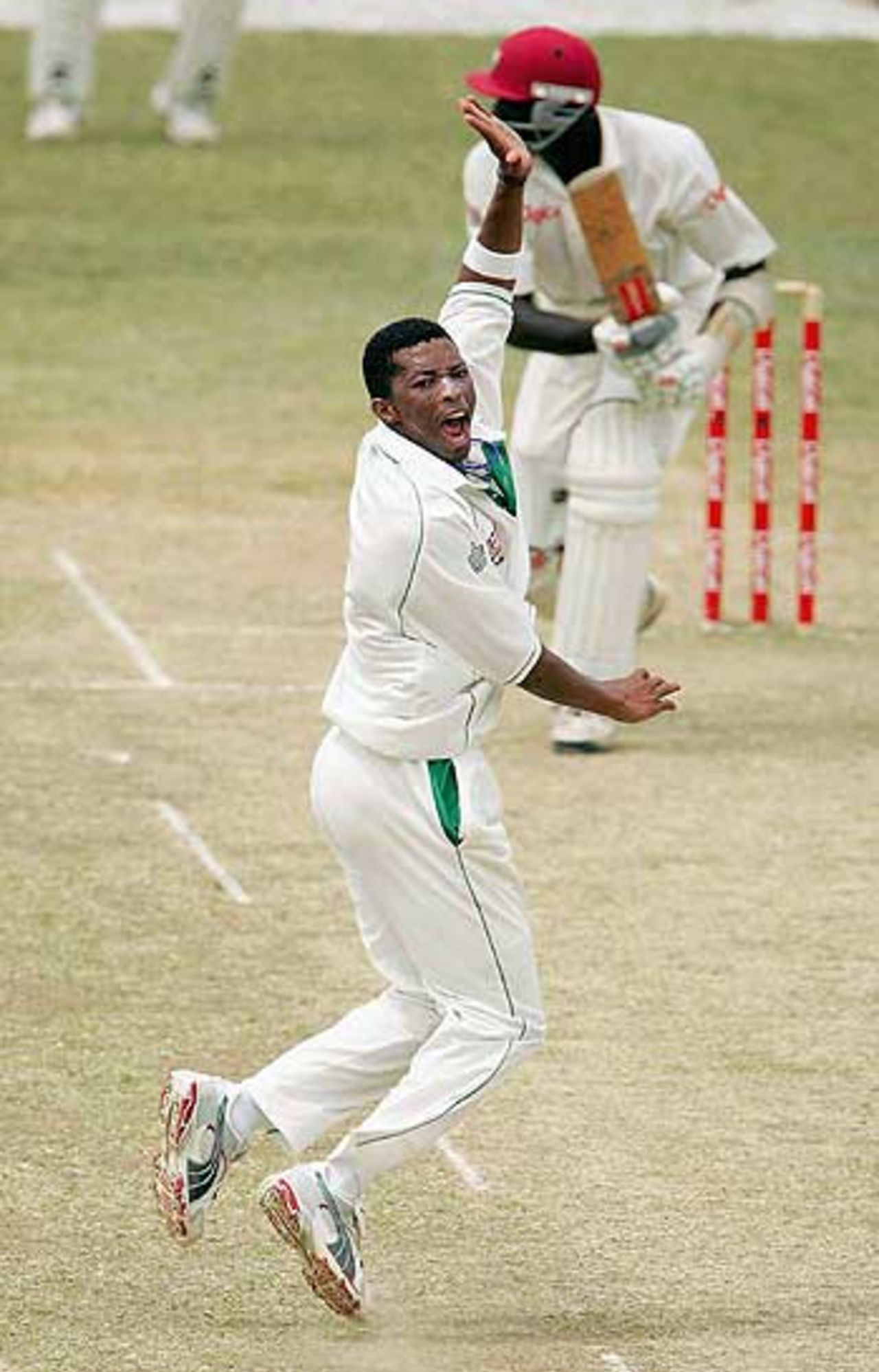 Makhaya Ntini traps Courtney Brown lbw as West Indies collapse during the second Test at Trinidad, West Indies v South Africa, April 8, 2005