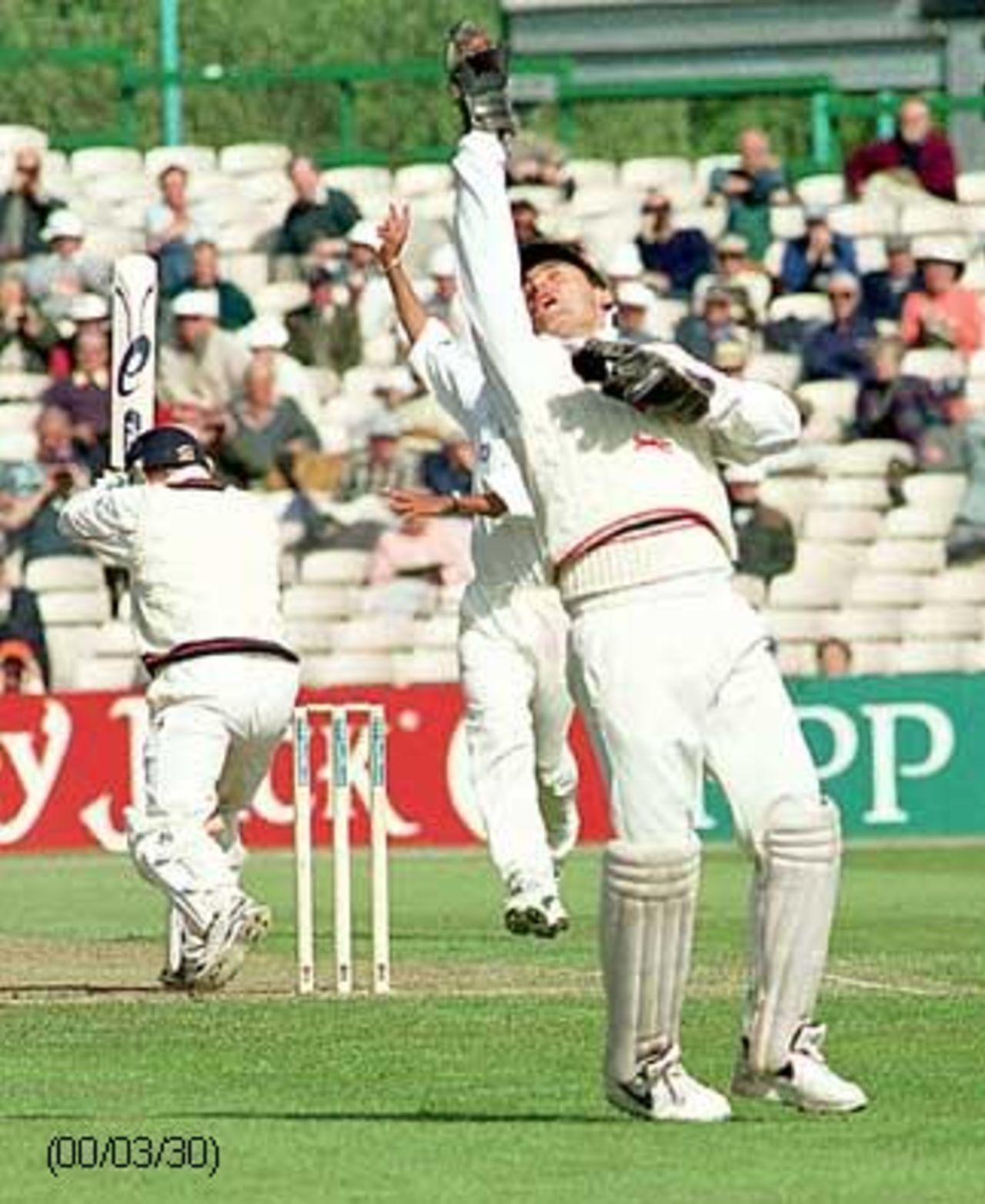 Neil Burns appeals for a catch behind