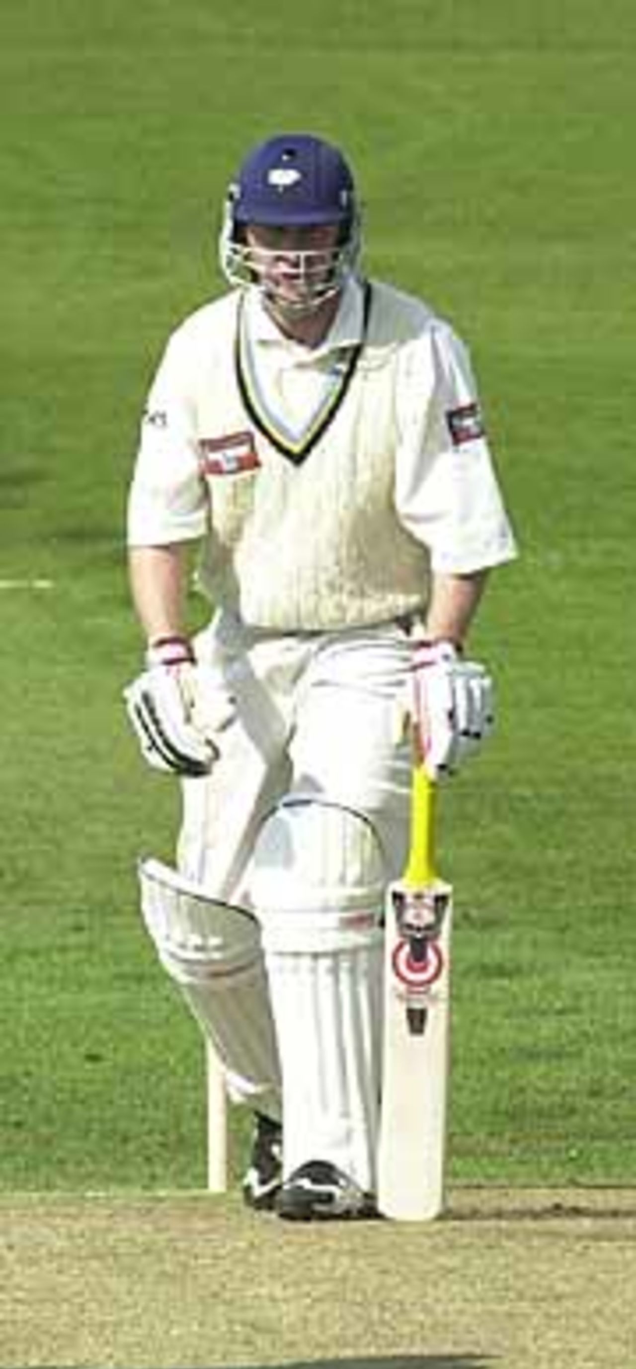 Yorkshire v Derbyshire, Benson and Hedges Cup , North Division, Headingley 30 April 2001