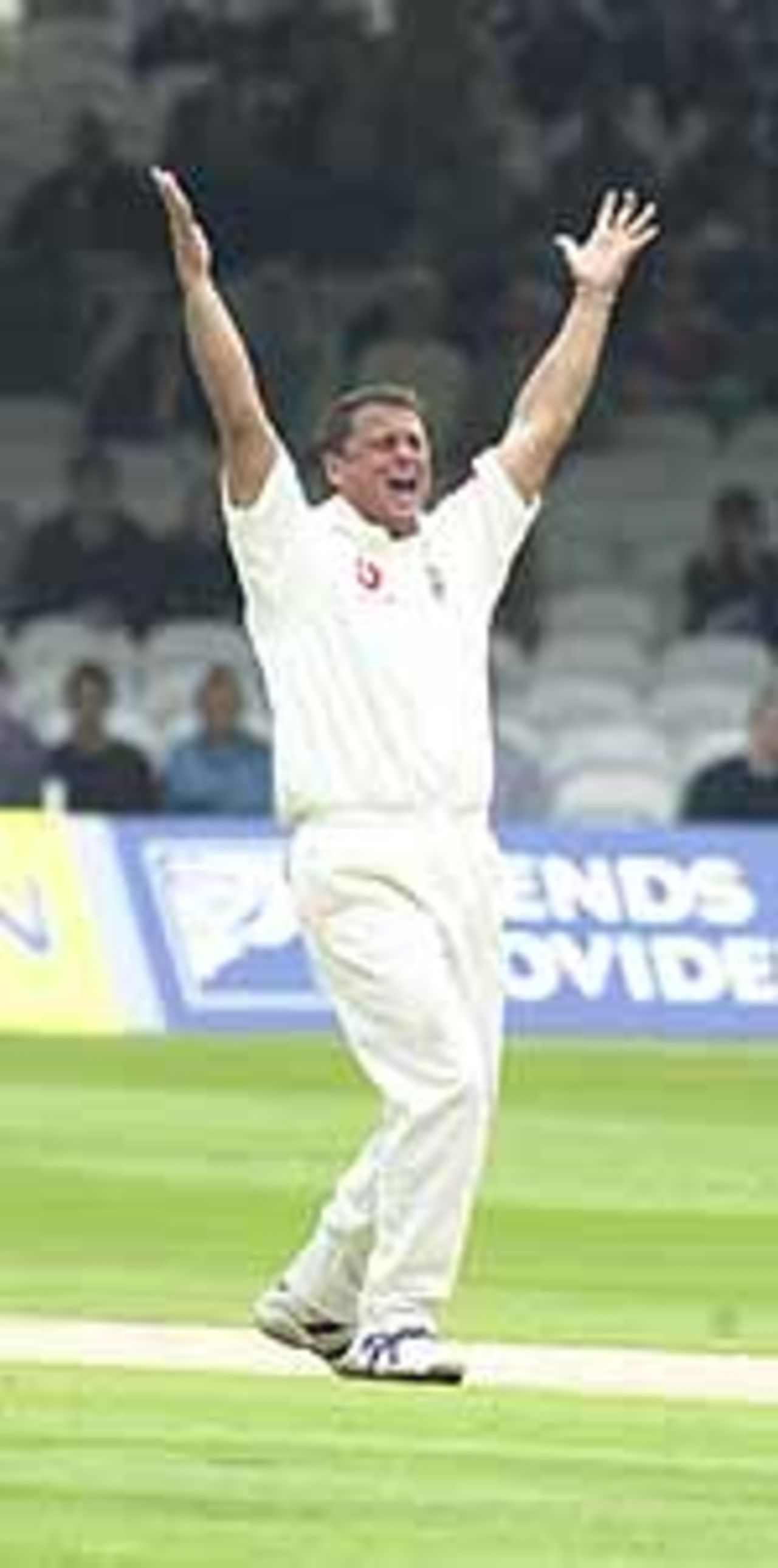 Gough celebrates Yousuf Youhana's dismissal, 4th day, 1st Test, England v Pakistan at Lords, May 20 2001