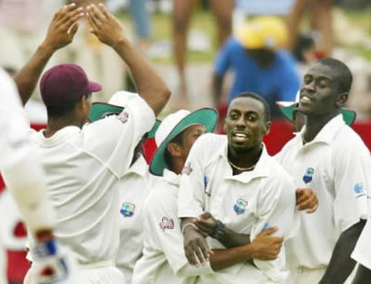 Collins celebrates after talking a wicket