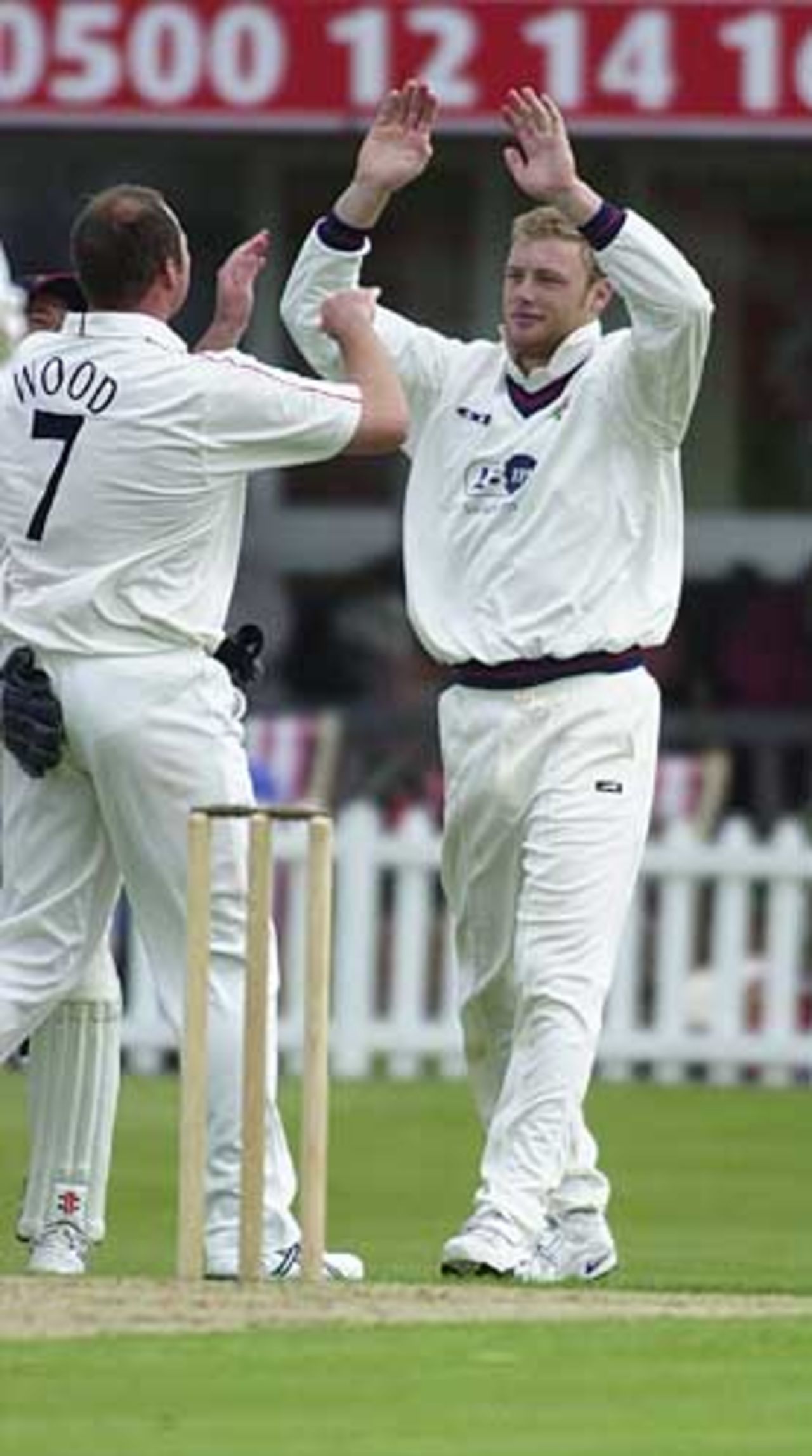 Bowler Wood and slip Flintoff have combined to dismiss  Stevens, Benson & Hedges Cup, May 22 at Leicester