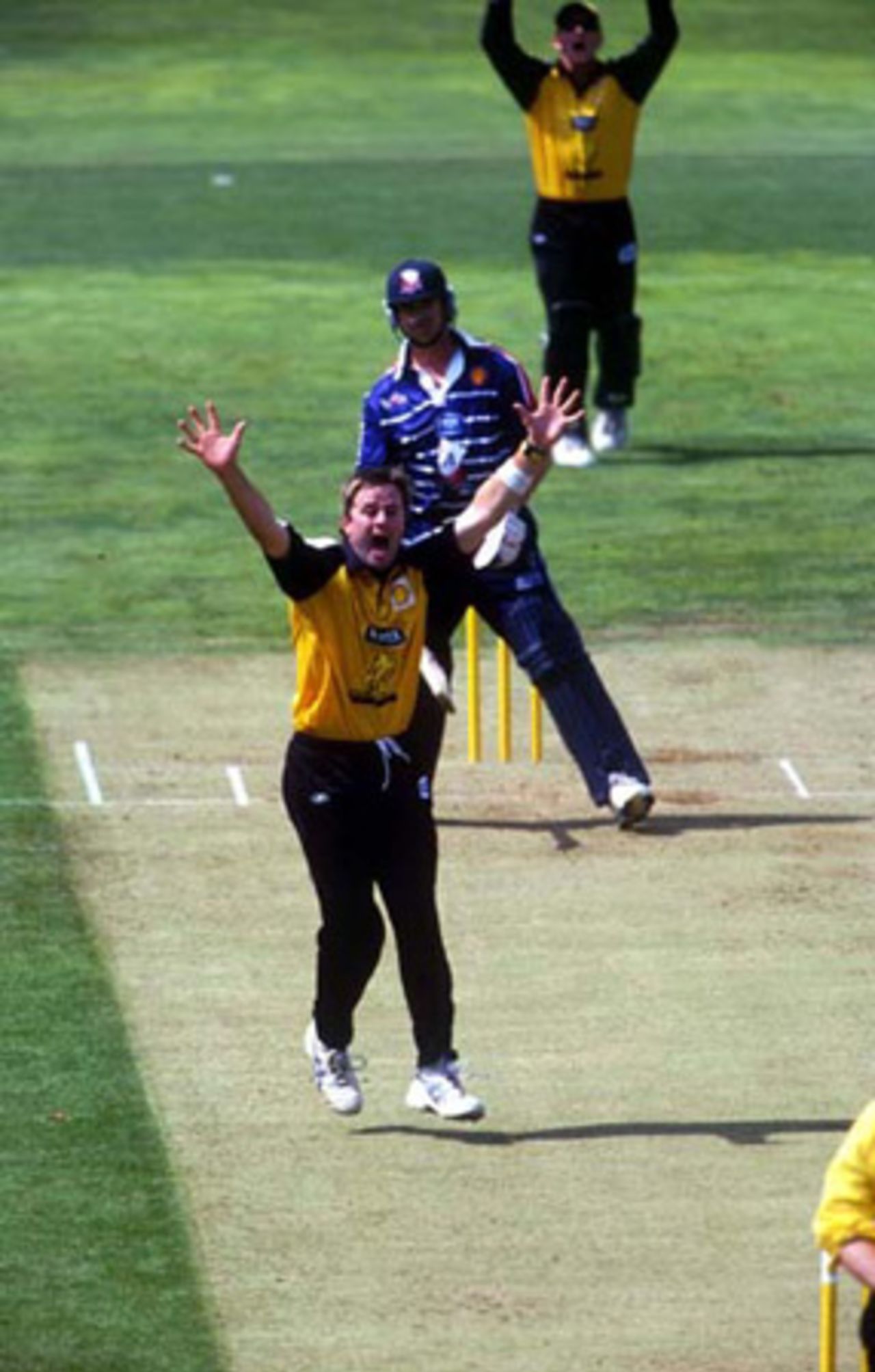 Wellington bowler Paul Hitchcock unsuccessfully appeals for lbw against Auckland batsman Dion Nash during his spell of 1-41 from 10 overs. Wicket-keeper Chris Nevin appeals in the background. Shell Cup: Auckland v Wellington at Eden Park Outer Oval, Auckland, 27 December 2000.