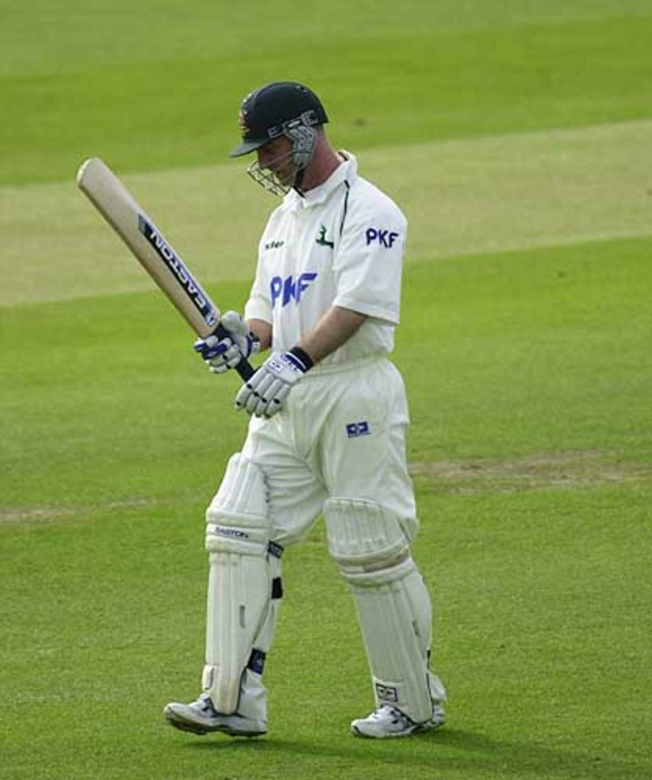 Notts Paul Johnson trudges off after being given out lbw to Greenidge, Frizzell County Championship, Trent Bridge, 25 May 2002