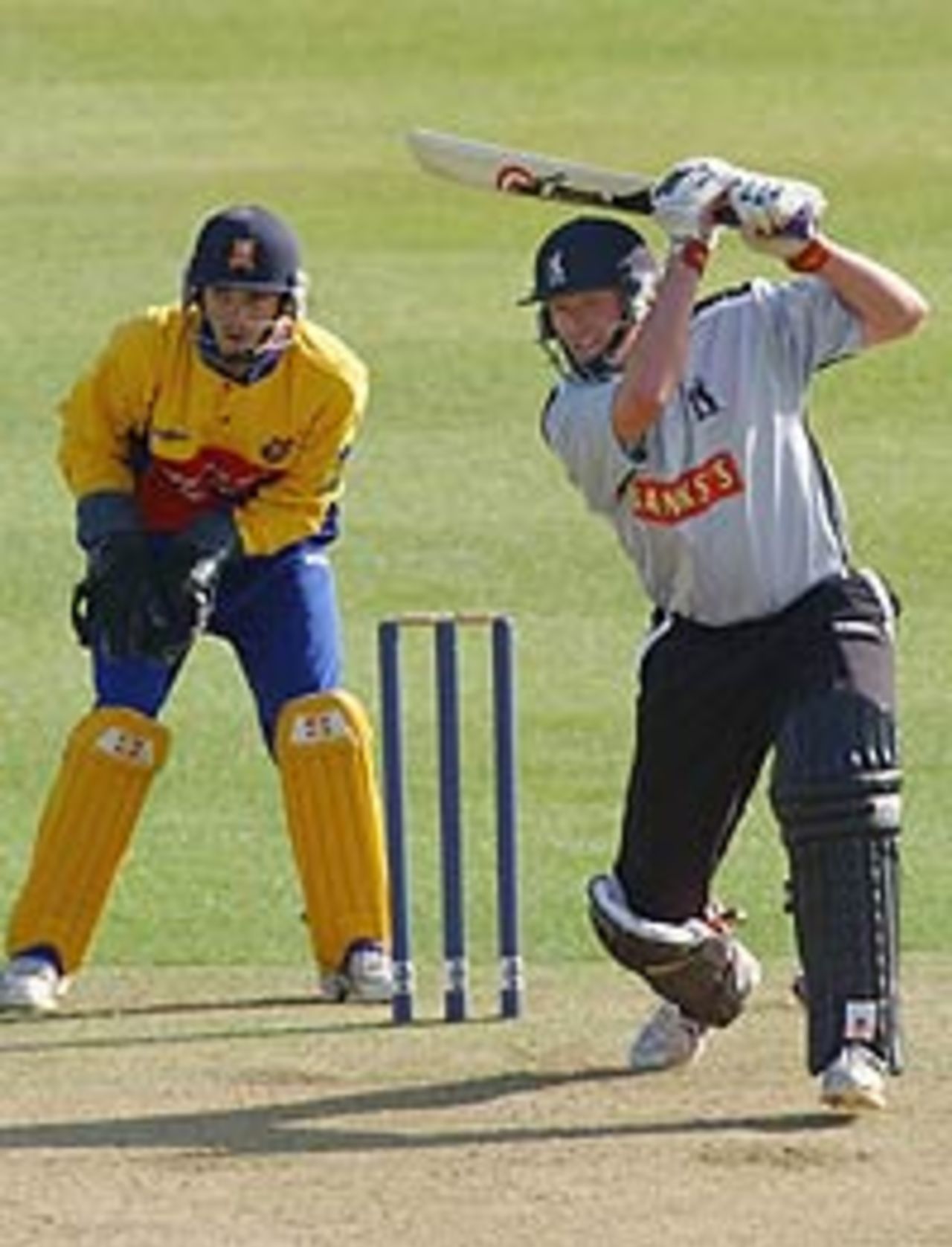 Dougie Brown hits out for Warwickshire against Essex (Nat Lge, May 18, 2003)