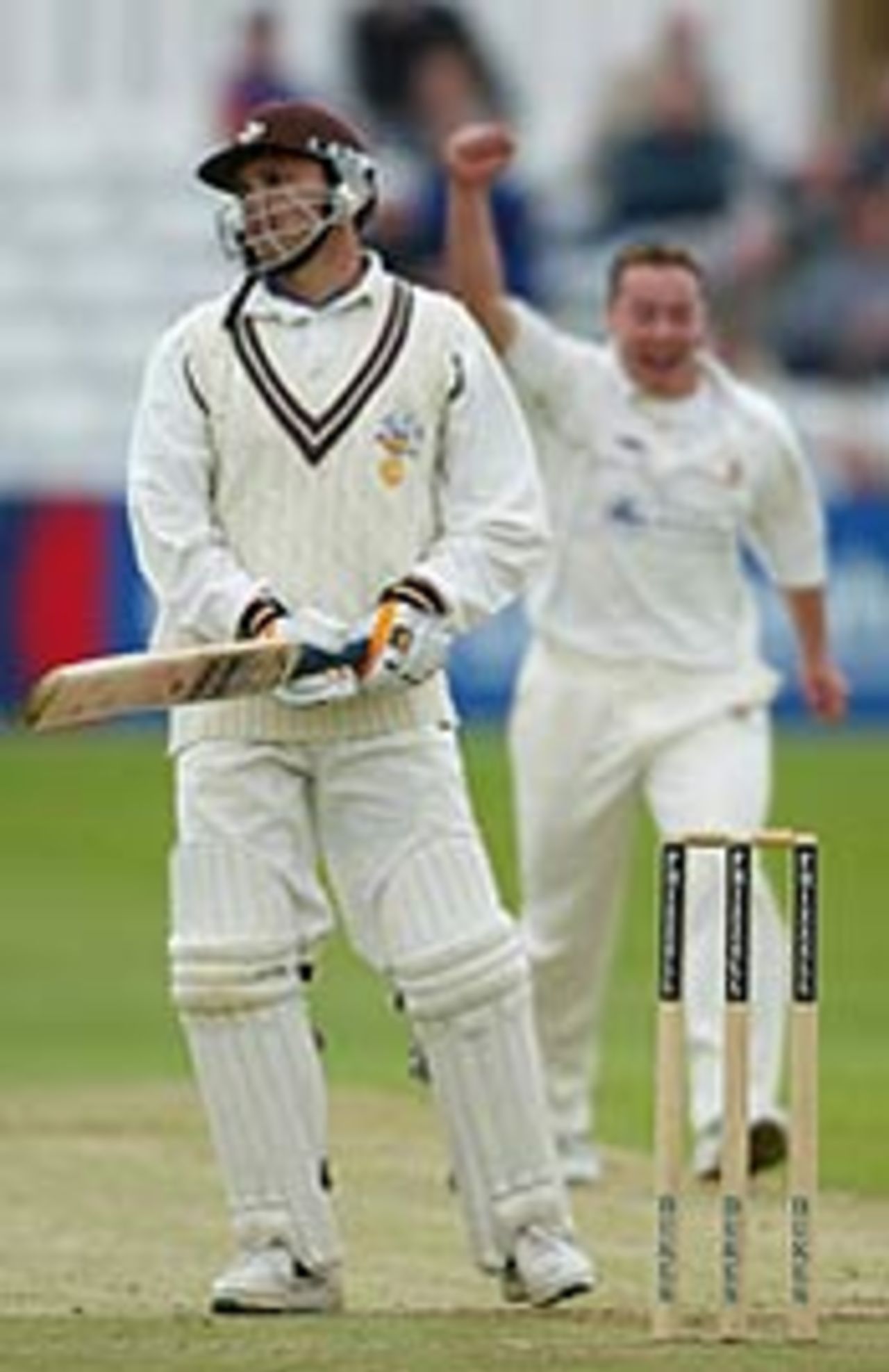 Graham Napier dismisses Mark Ramprakash (Essex v Surrey May 21, 2003)