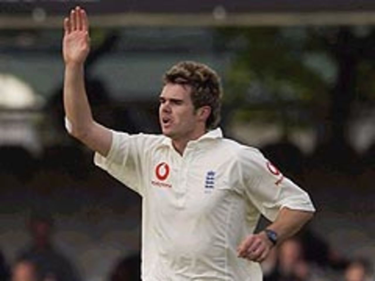 James Anderson: maiden Test wicket