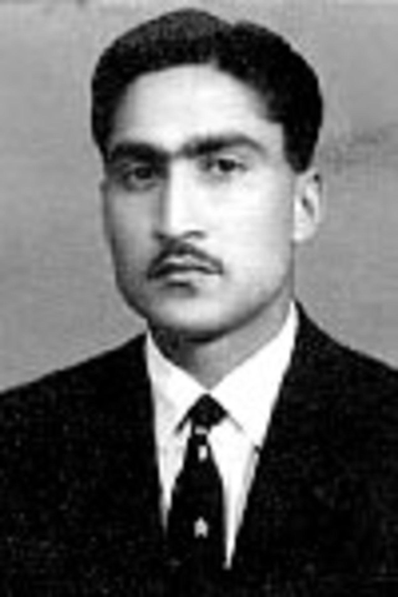 Munir Malik - Portrait