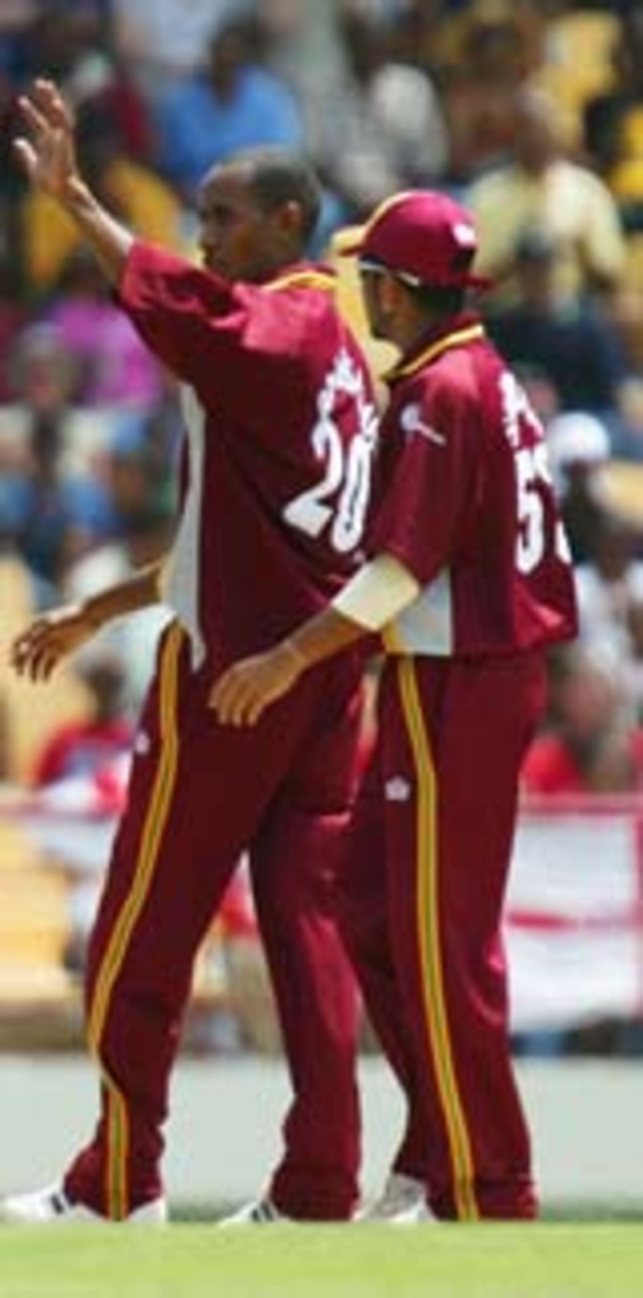 Ian Bradshaw celebrates his first one-day wicket, West Indies v England, 5th ODI, St Lucia, May 1, 2004