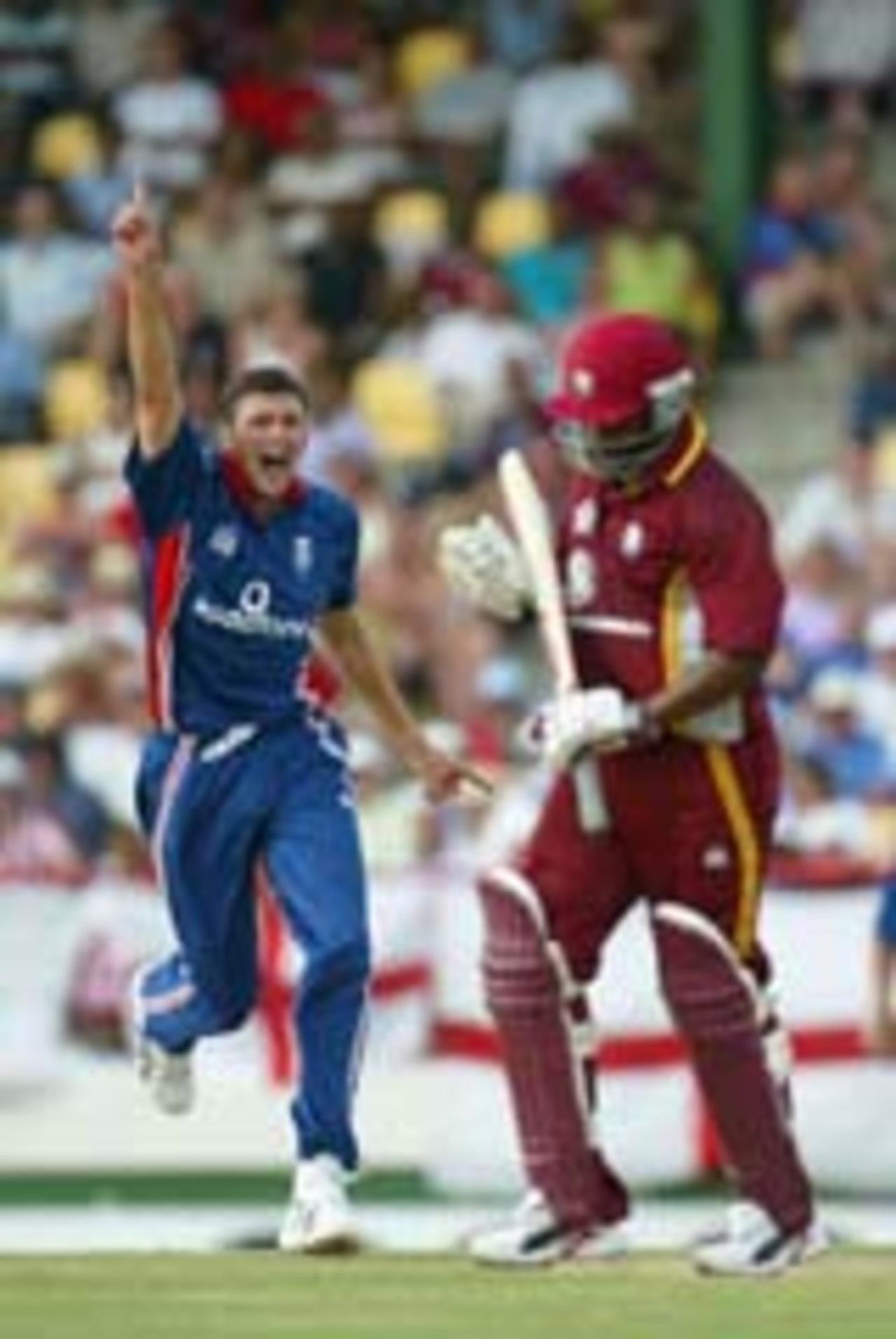 Stephen Harmison celebrates the wicket of Brian Lara, West Indies v England, 5th ODI, St Lucia, May 1, 2004