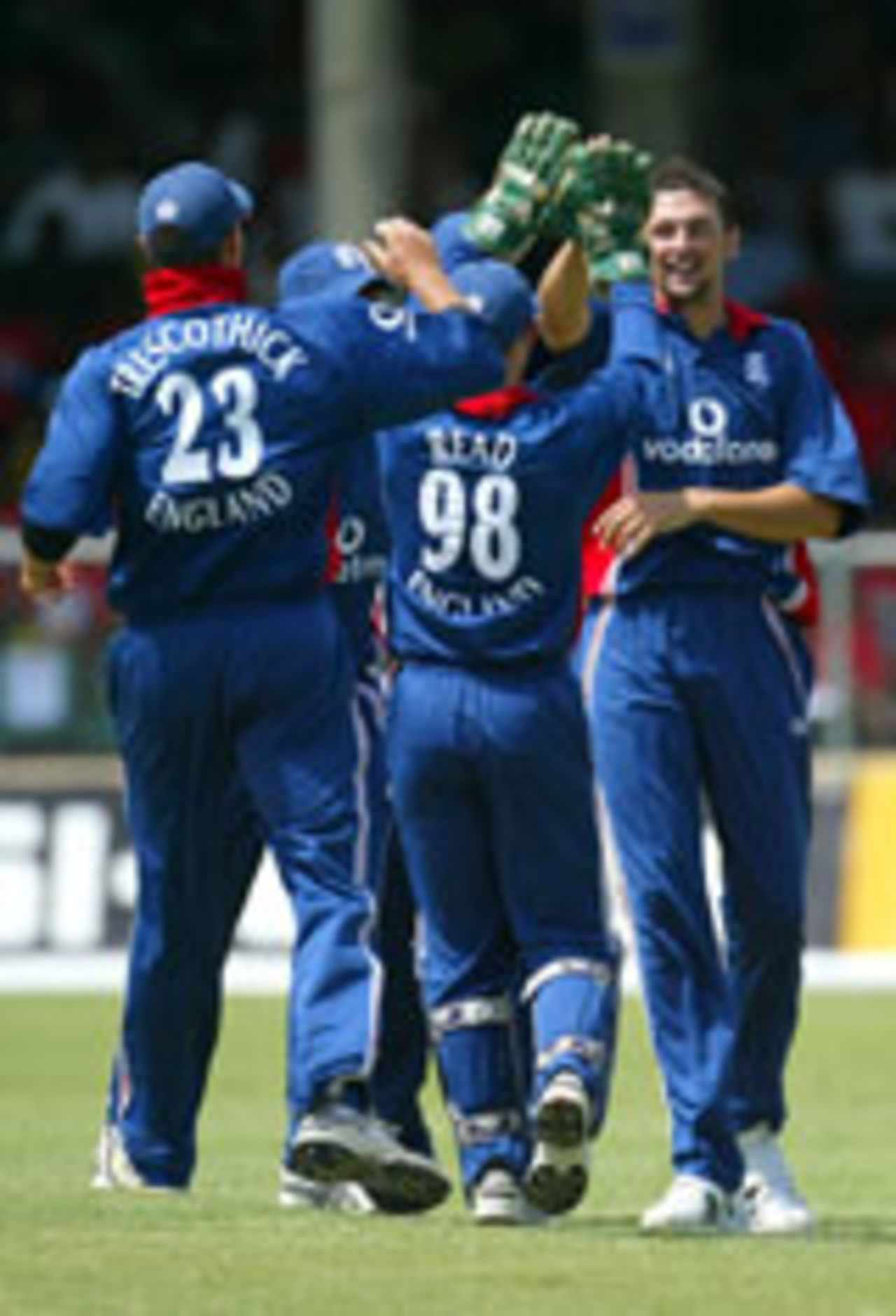 Stephen Harmison celebrating a wicket, West Indies v England, 7th ODI, Barbados, May 5, 2004