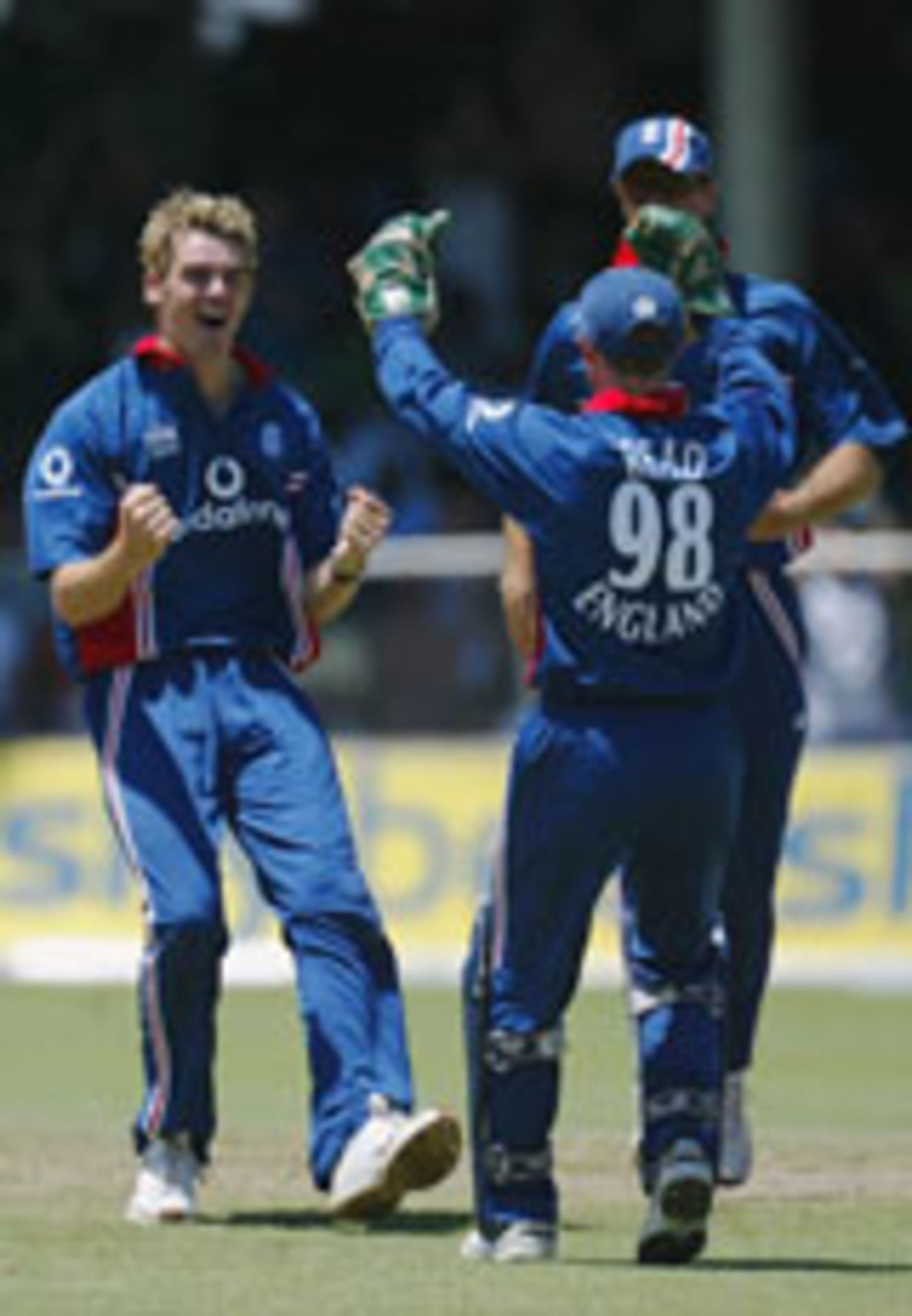 James Anderson celebrate's Chris Gayle's wicket, West Indies v England, 7th ODI, Barbados, May 5, 2004