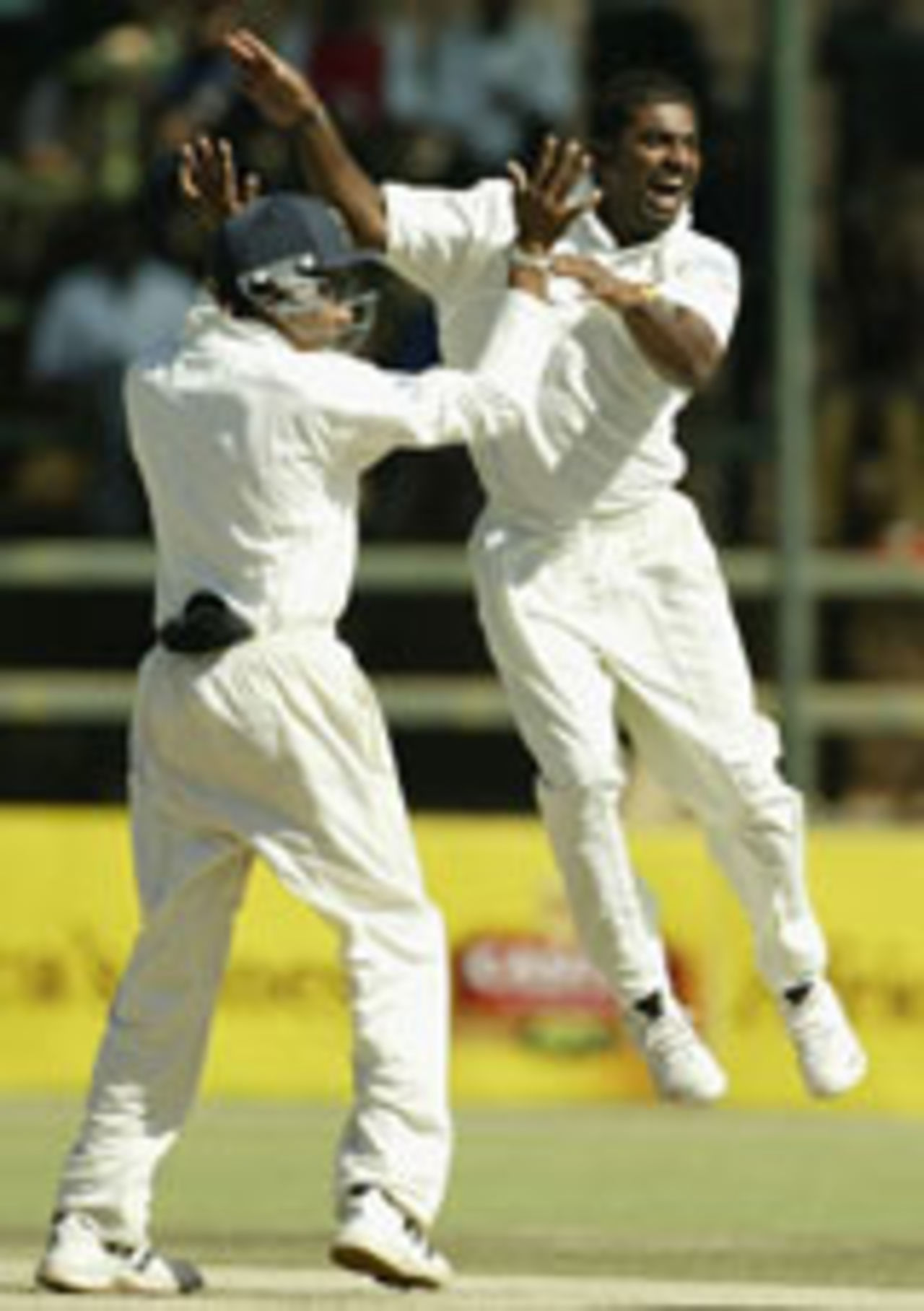 Muttiah Muralitharan celebrates the record-breaking wicket, Zimbabwe v Sri Lanka, 1st Test, Harare, May 8, 2004