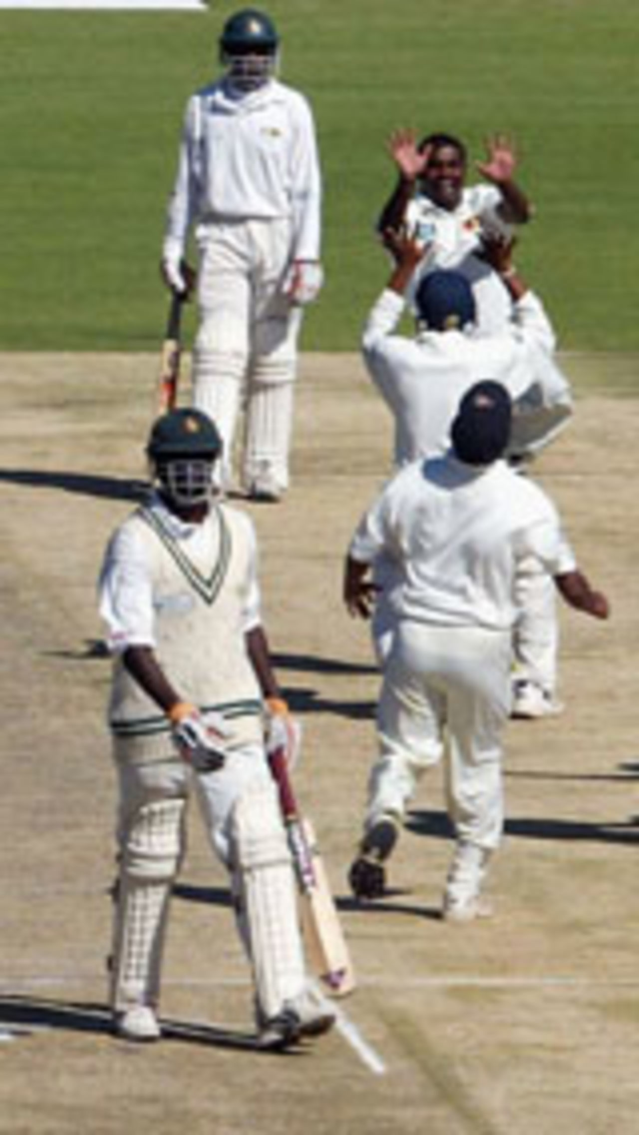 Muttiah Muralitharan and his team-mates celebrate the record-breaking wicket, Zimbabwe v Sri Lanka, 1st Test, Harare, May 8, 2004